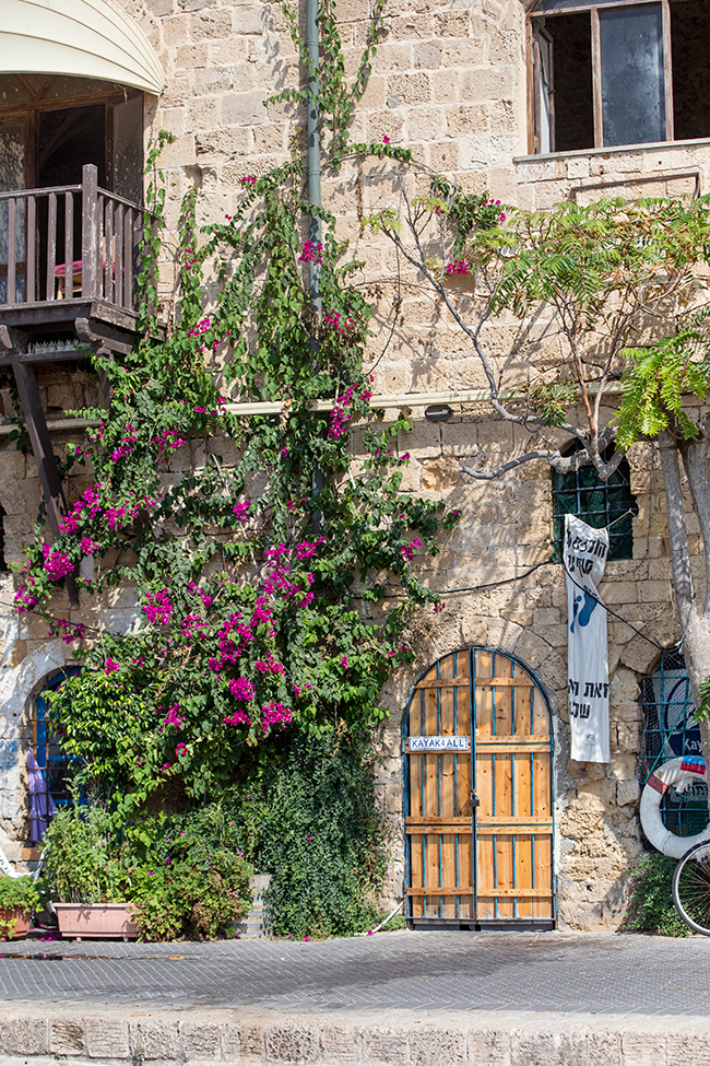 in Jaffa along the oceanside