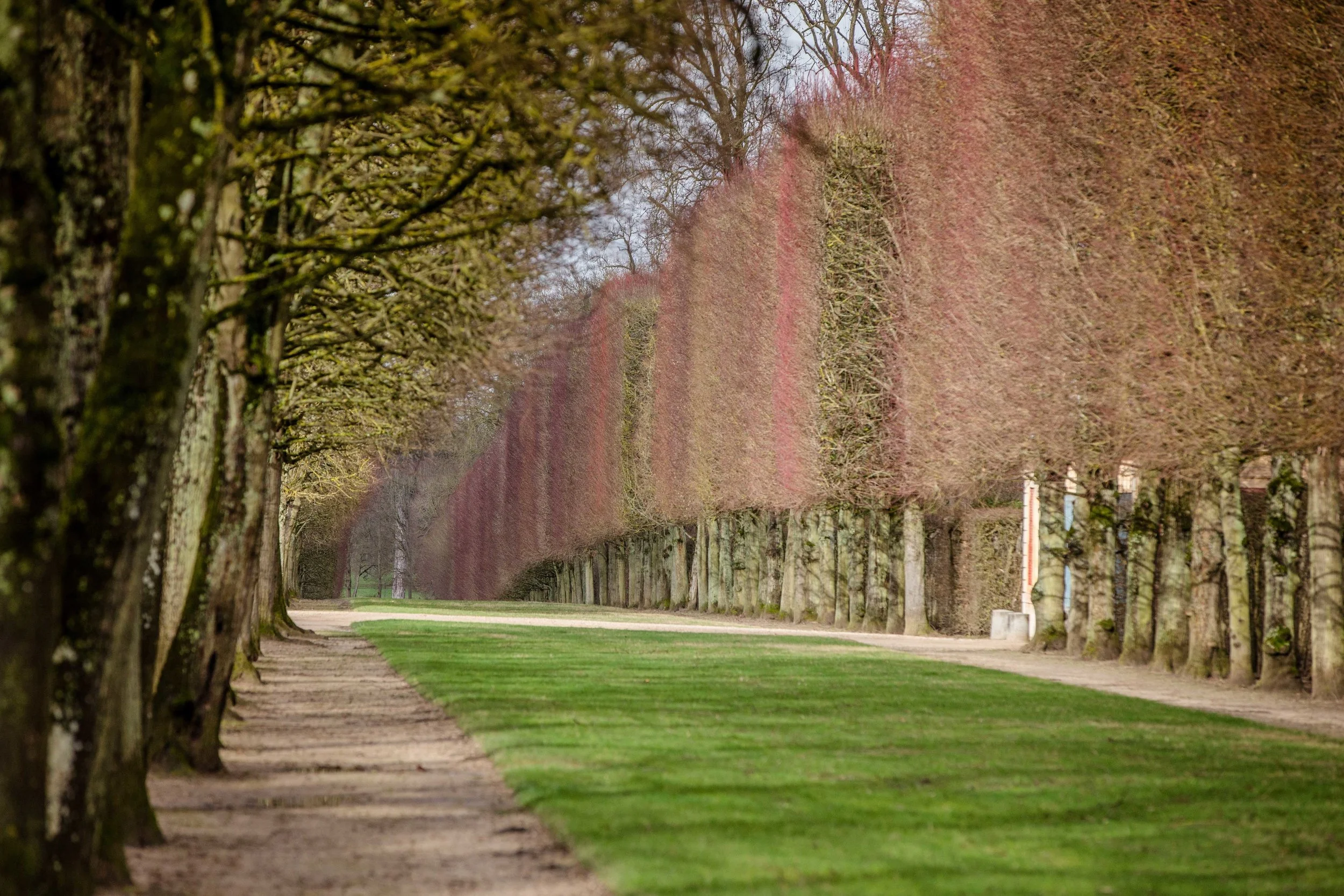 Gardens of Versailles