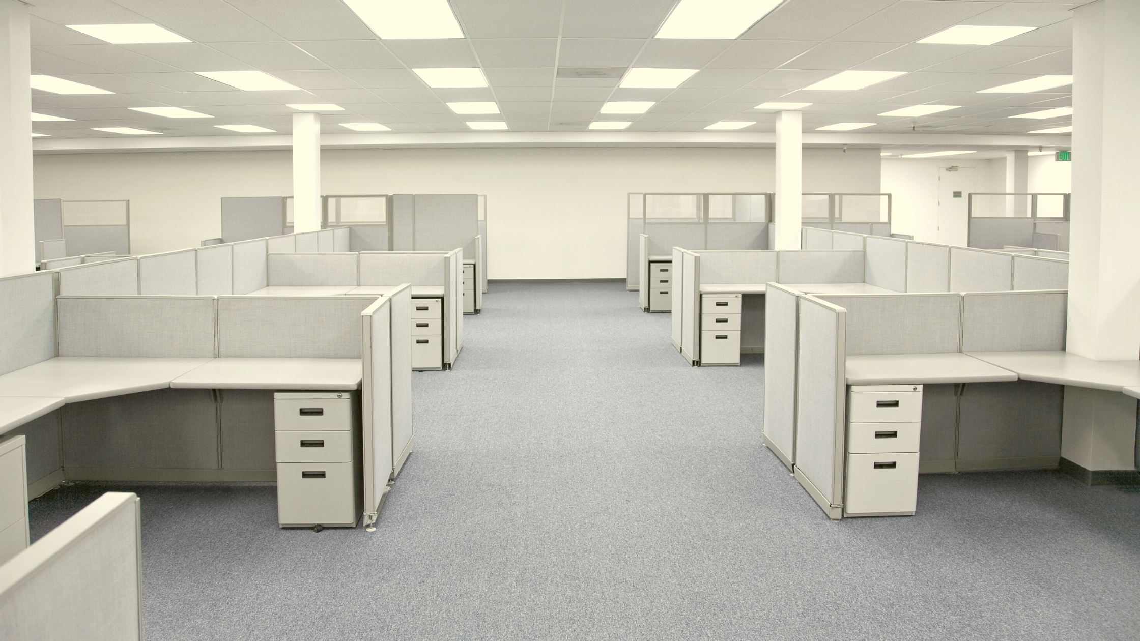 The DMV, Draft Five, and the Cost of Endurance