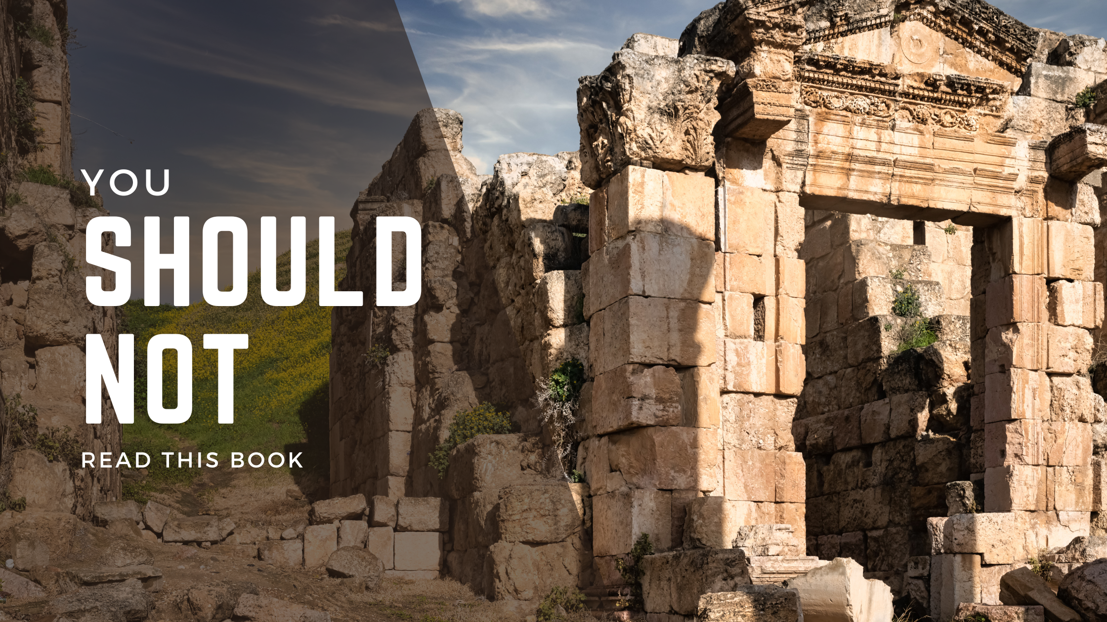 You Should Not Read This Book