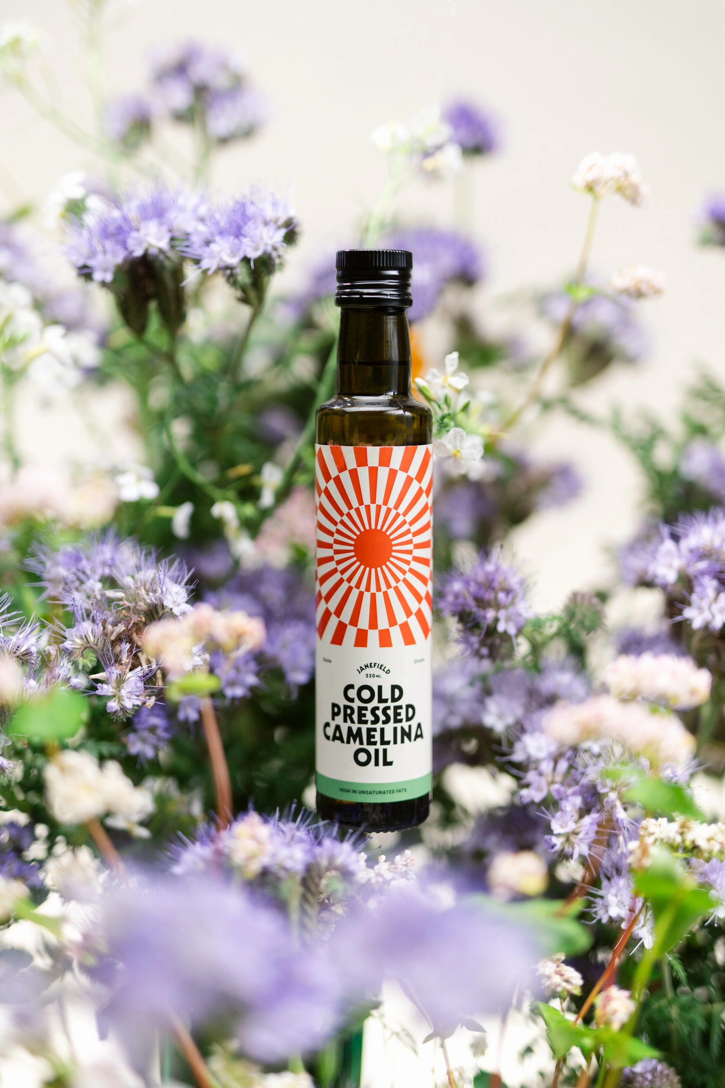 Camelina Sativa-48.jpg