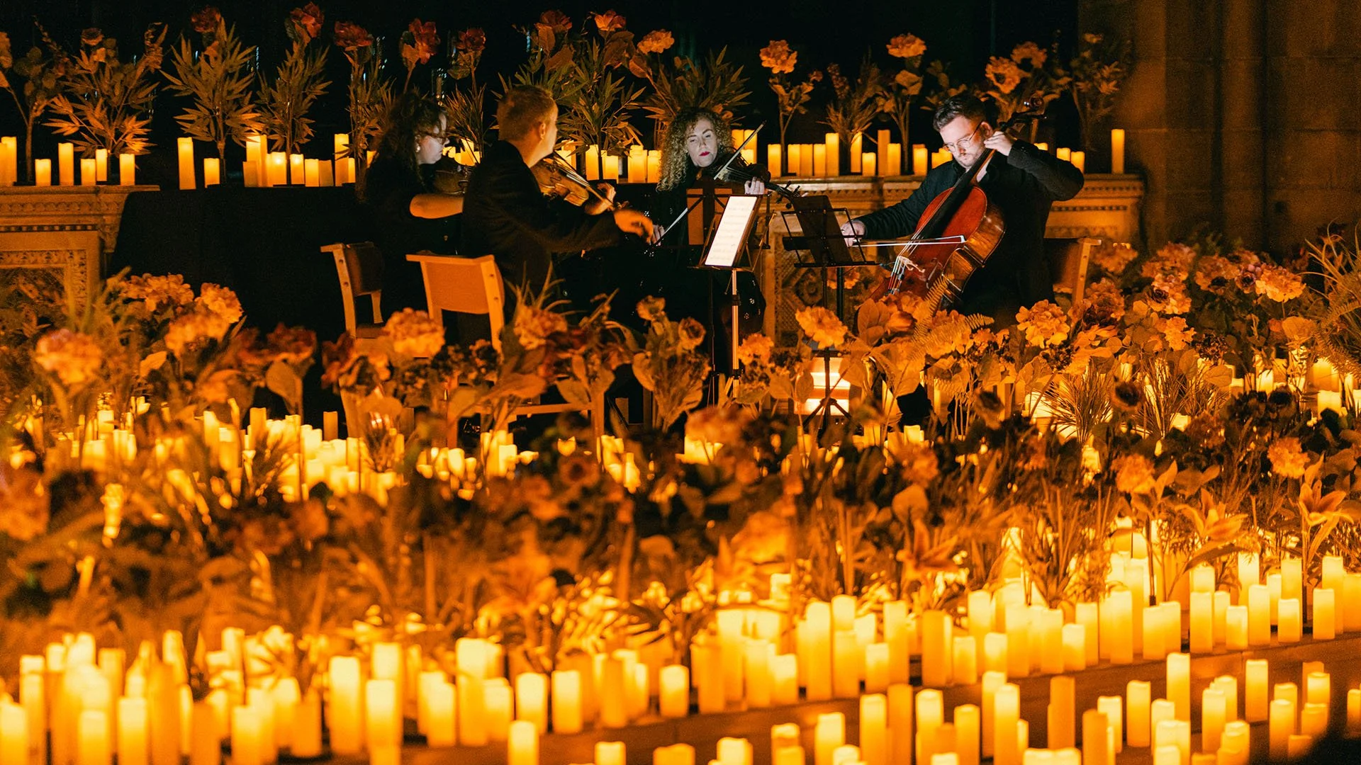 Events &amp; conferences