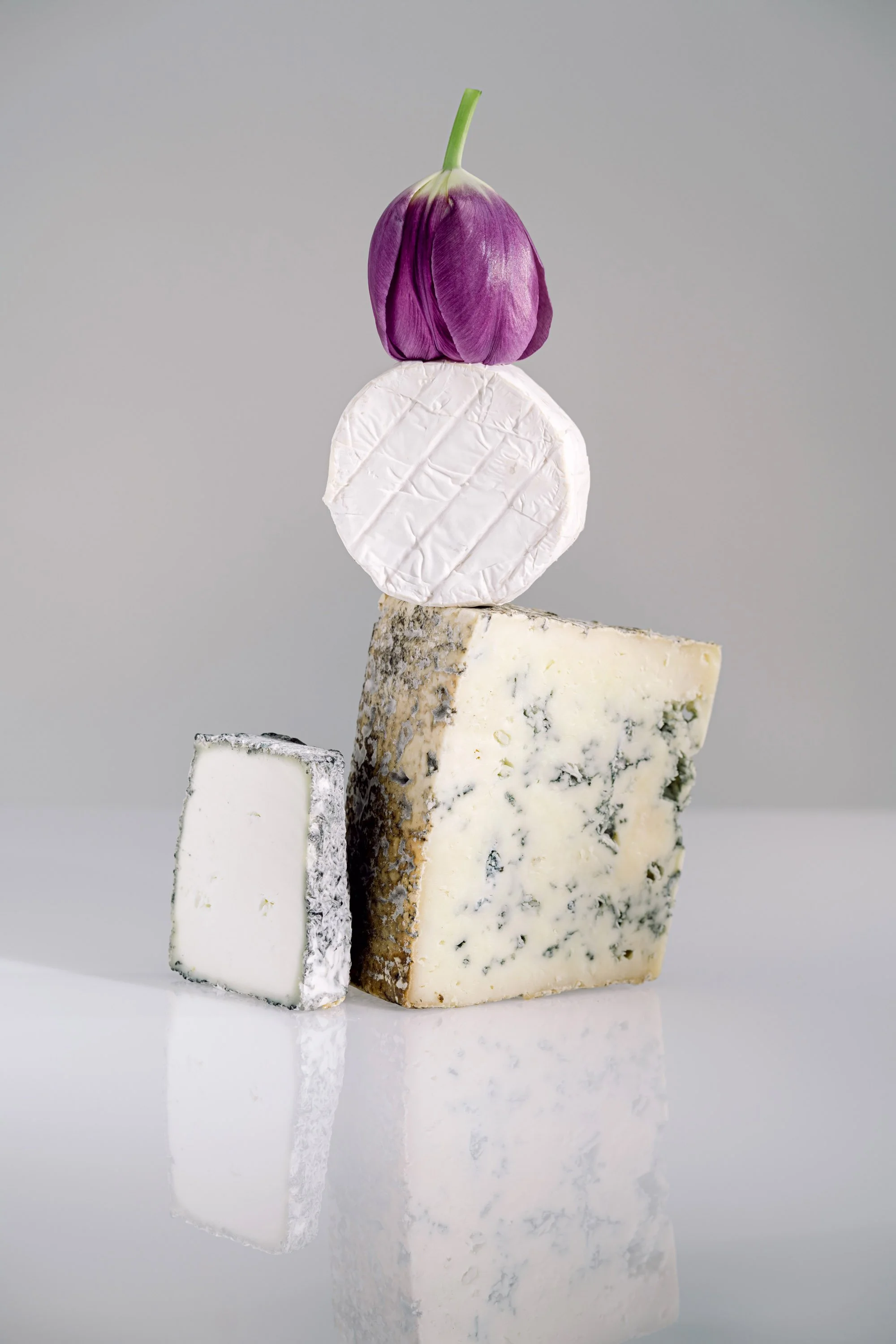 A stack of cheeses with a purple garlic bulb on top, arranged on a reflective white surface against a plain gray background.