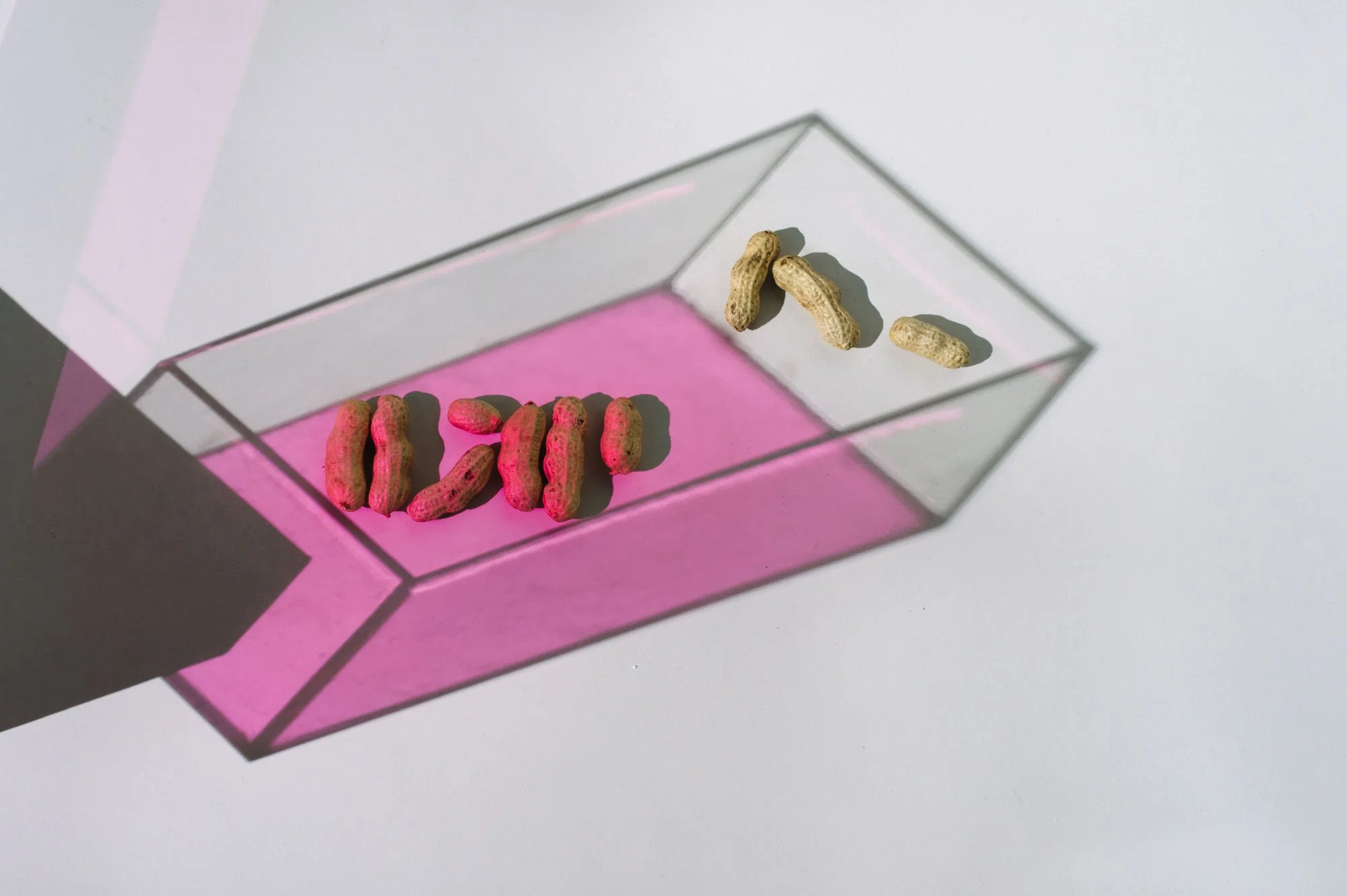 DecagramTwo (24 of 34).jpg