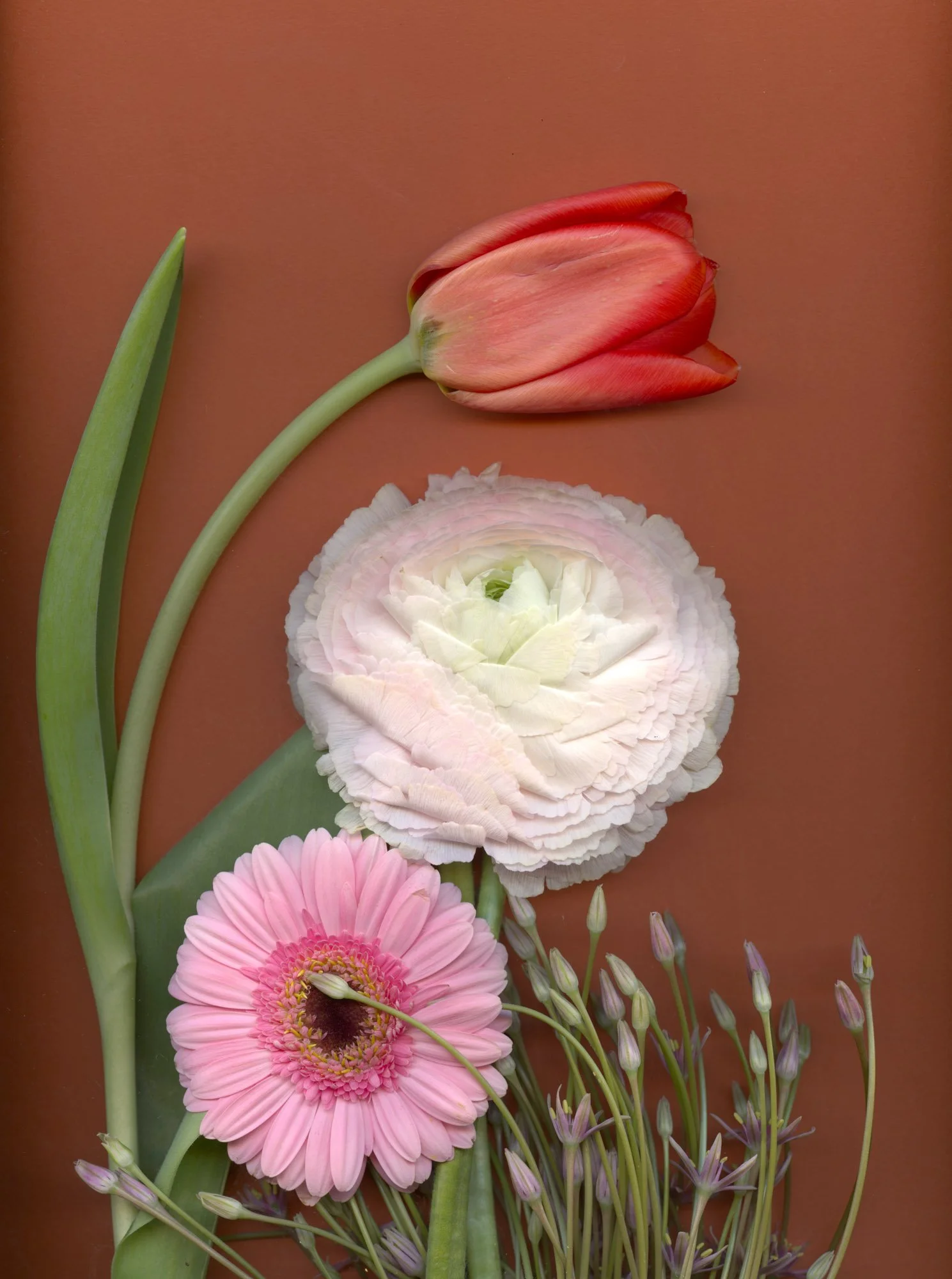 Flowers-85.jpg