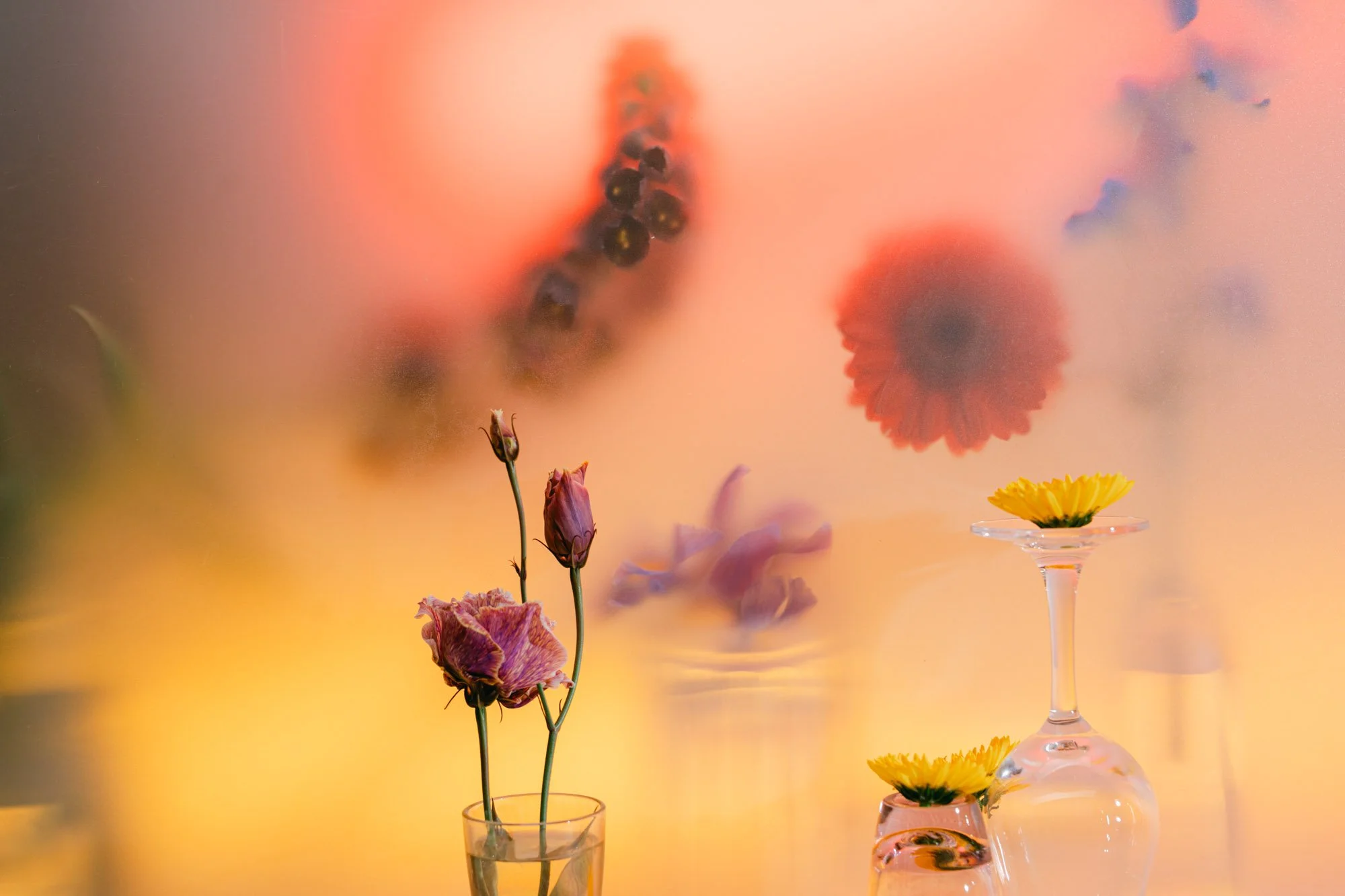Flowers-72.jpg