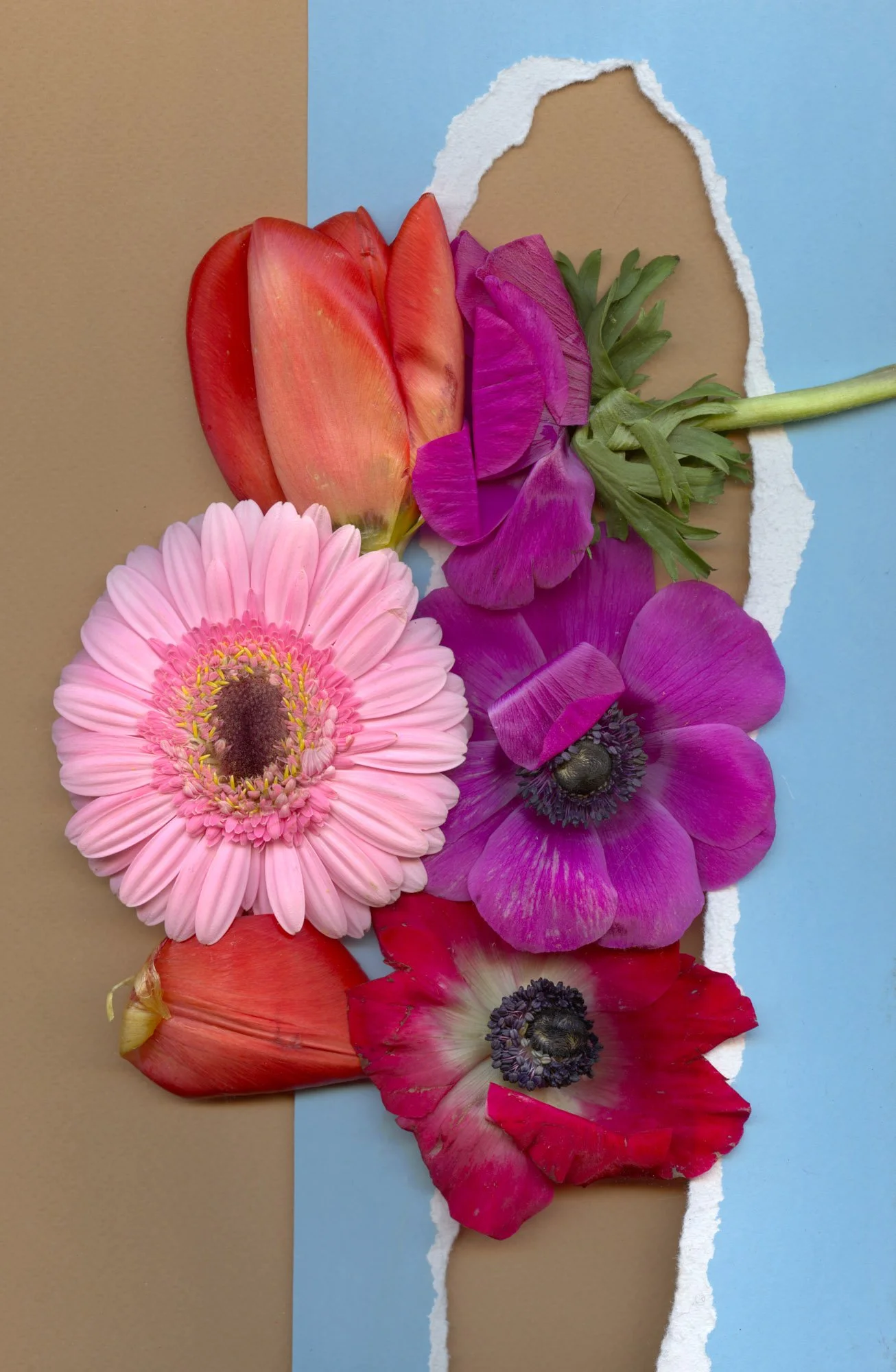 Flowers-74.jpg