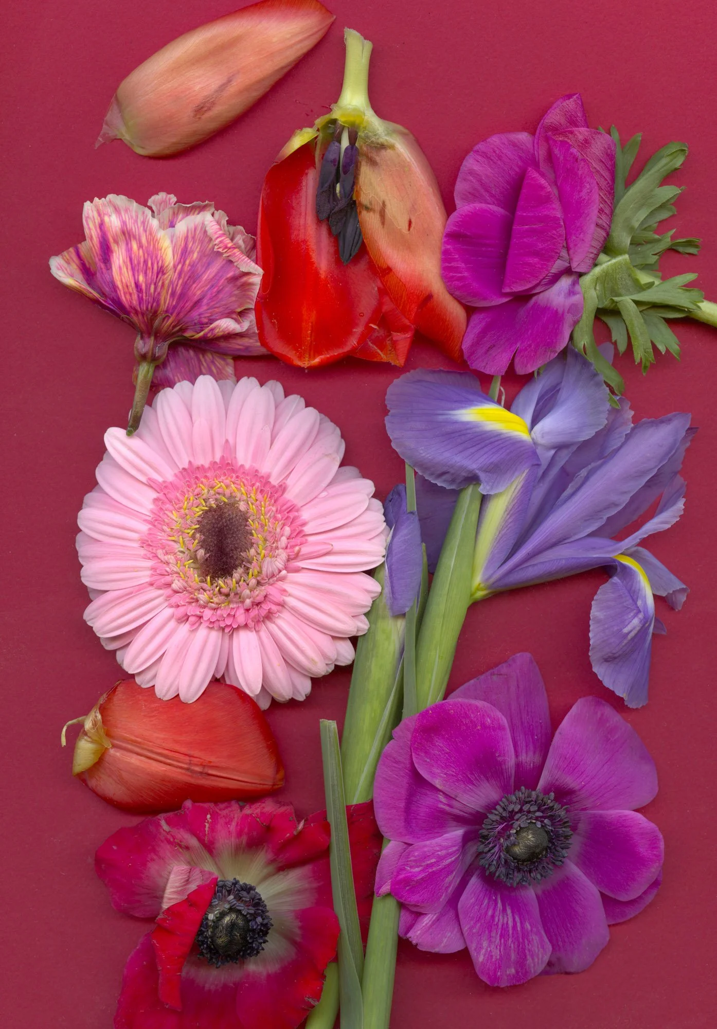 Flowers-66.jpg