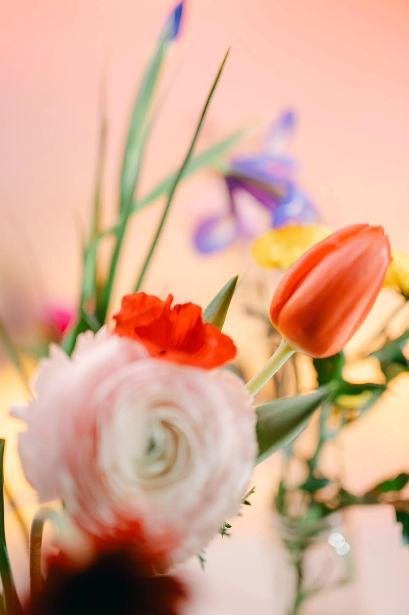 Flowers-57.jpg
