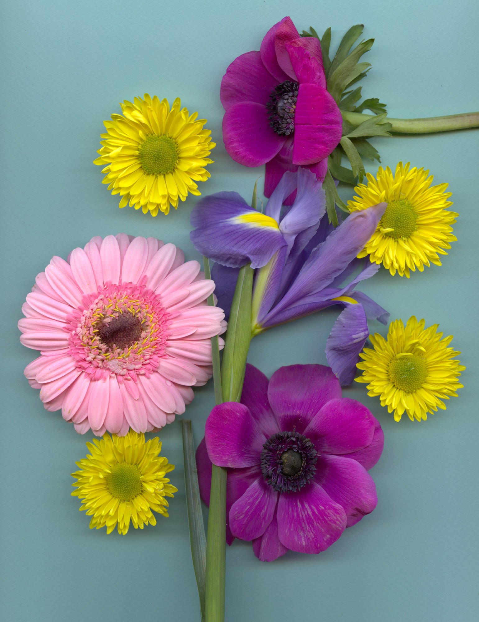 Flowers-58.jpg