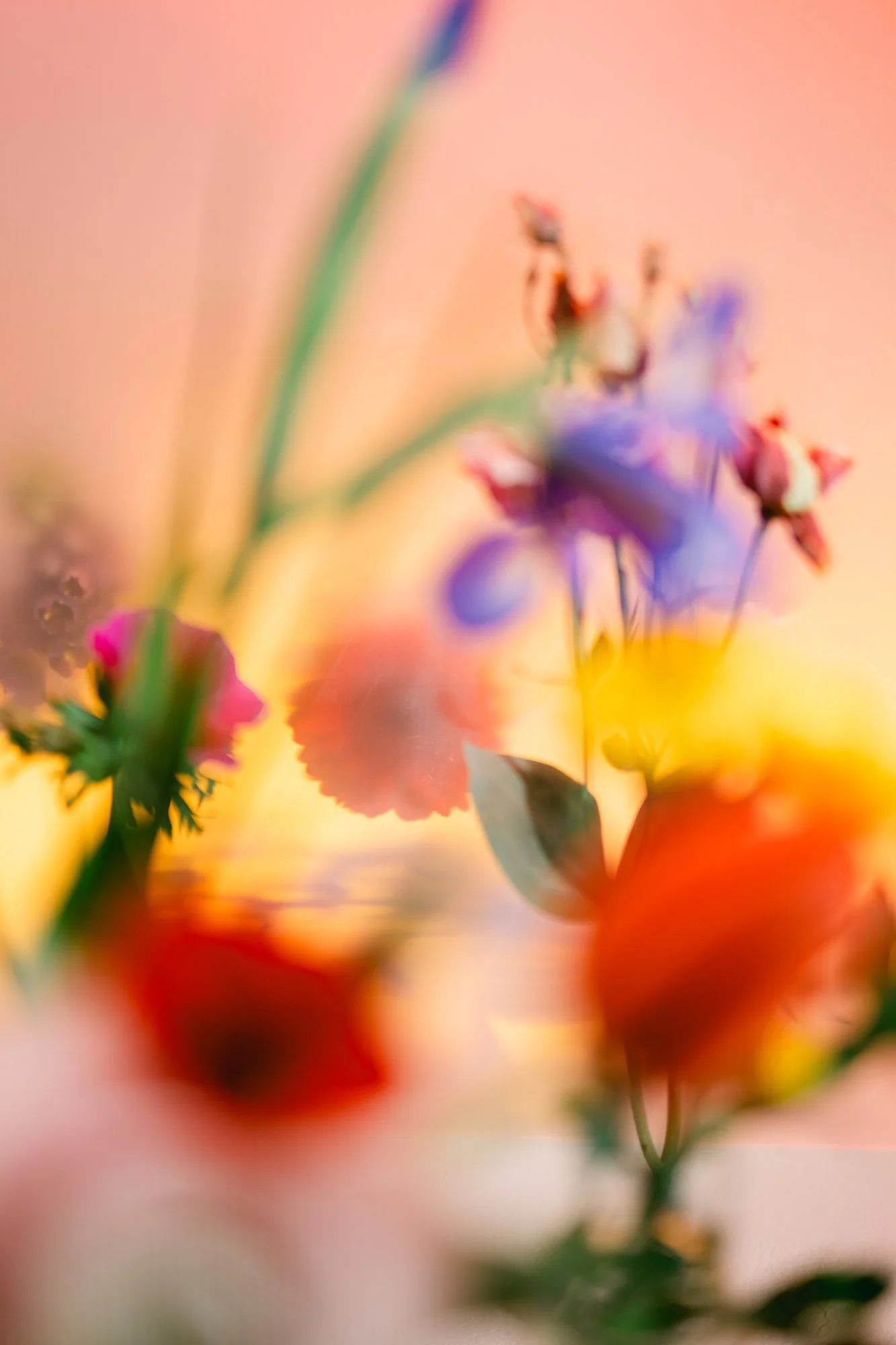 Flowers-51.jpg