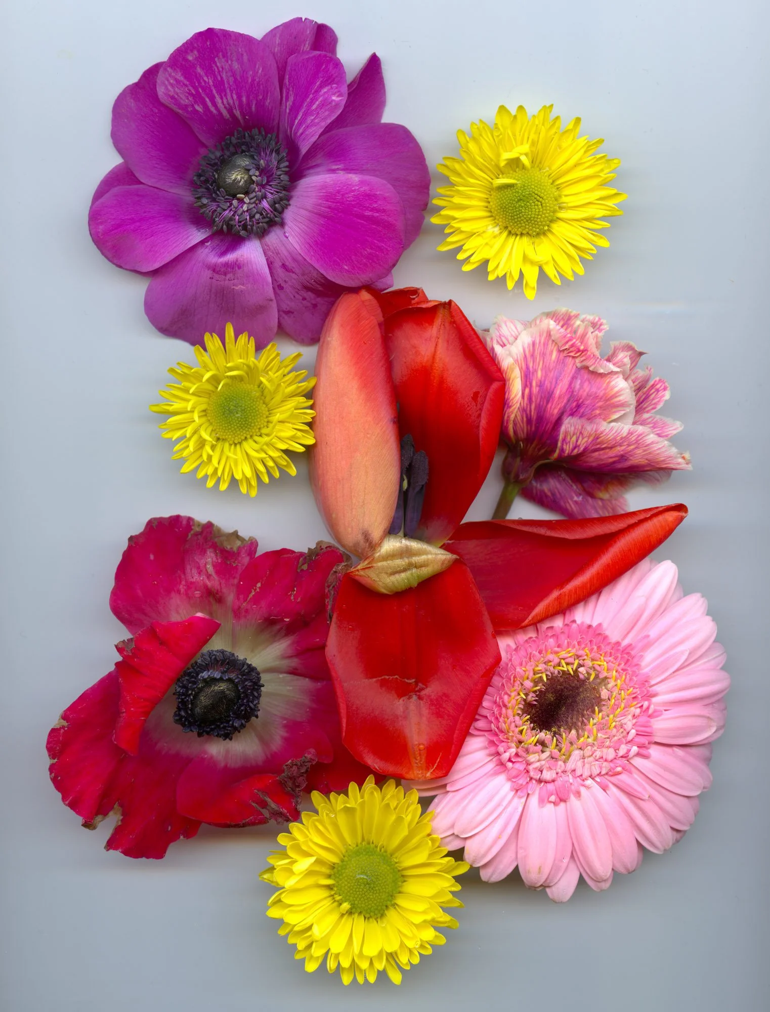 Flowers-43.jpg