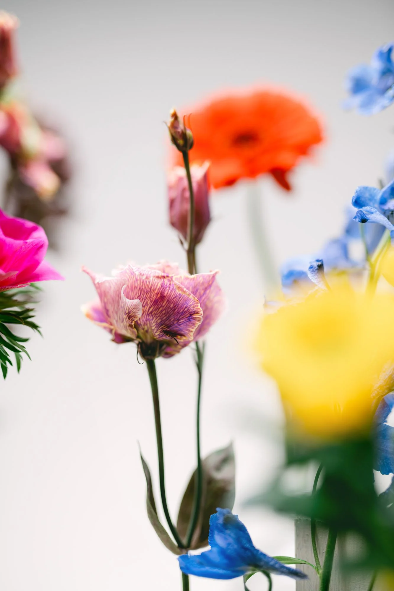 Flowers-42.jpg