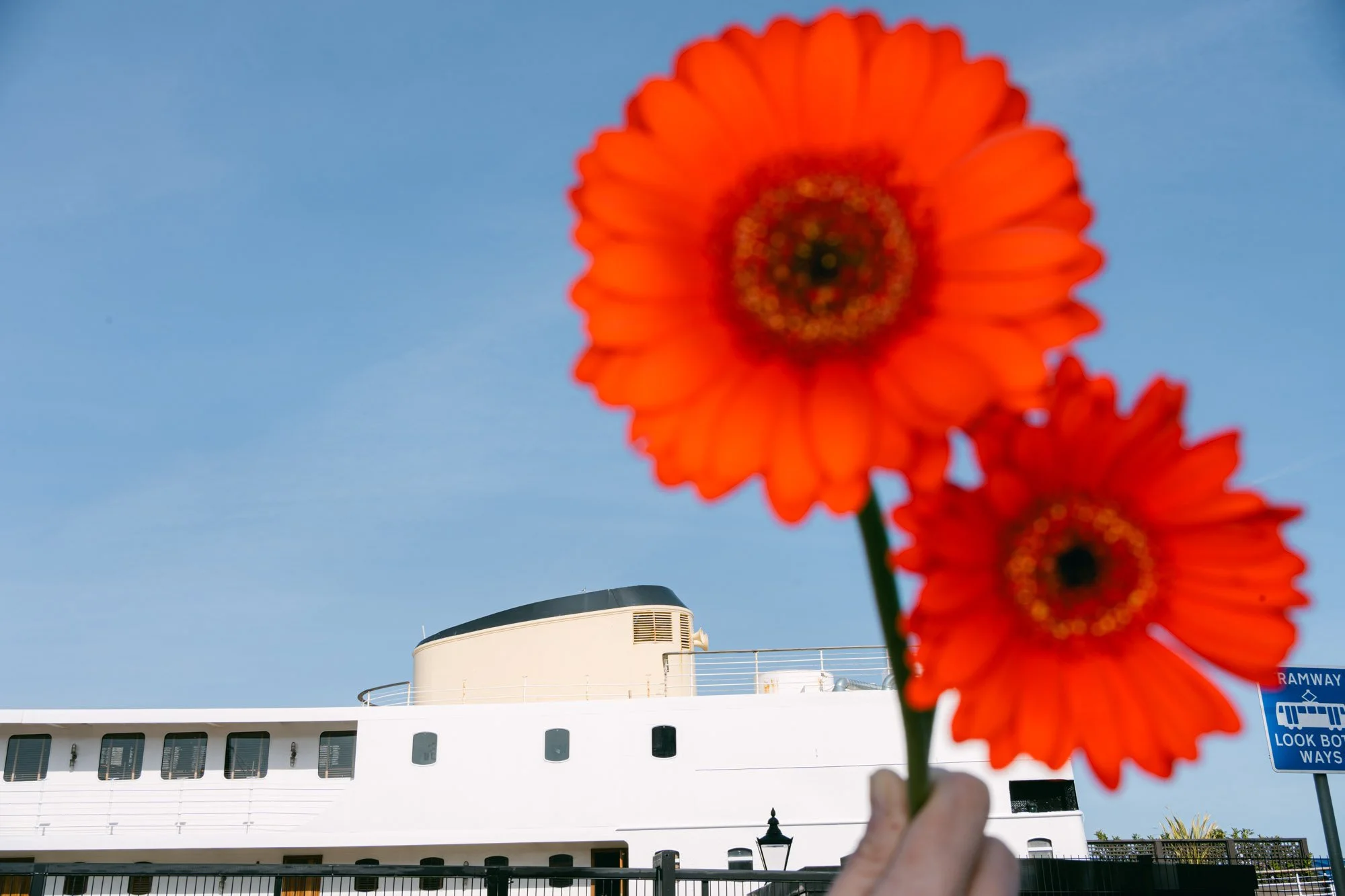 Flowers-29.jpg