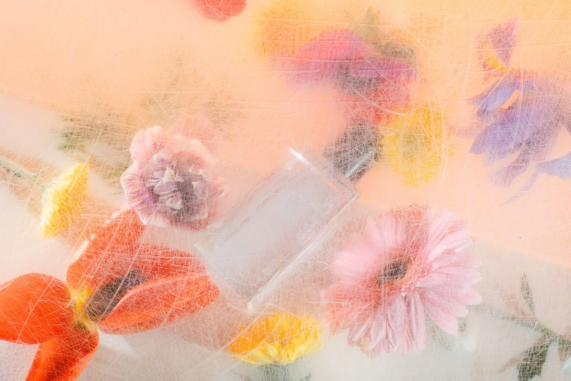 Flowers-20.jpg