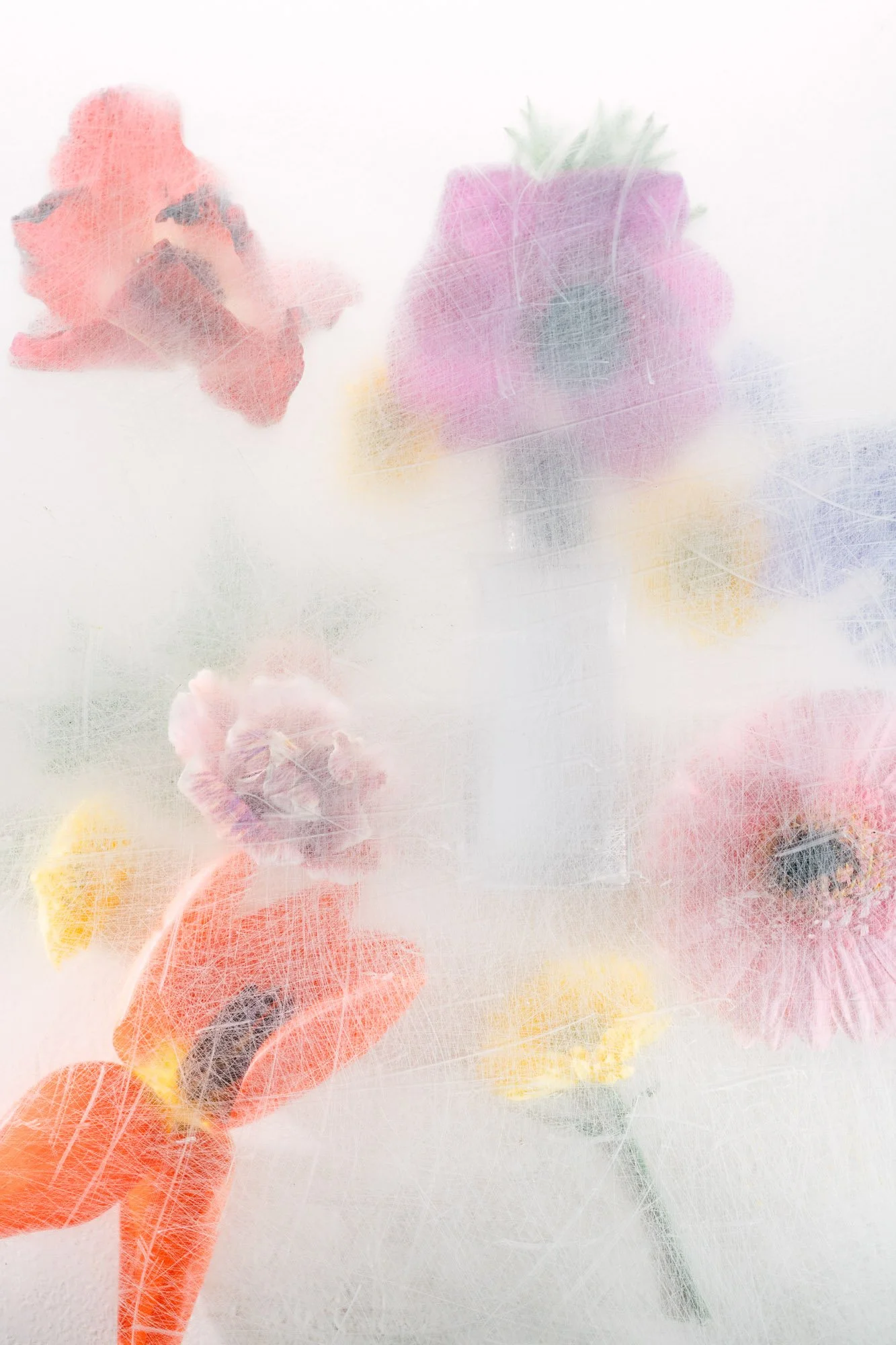 Flowers-6.jpg