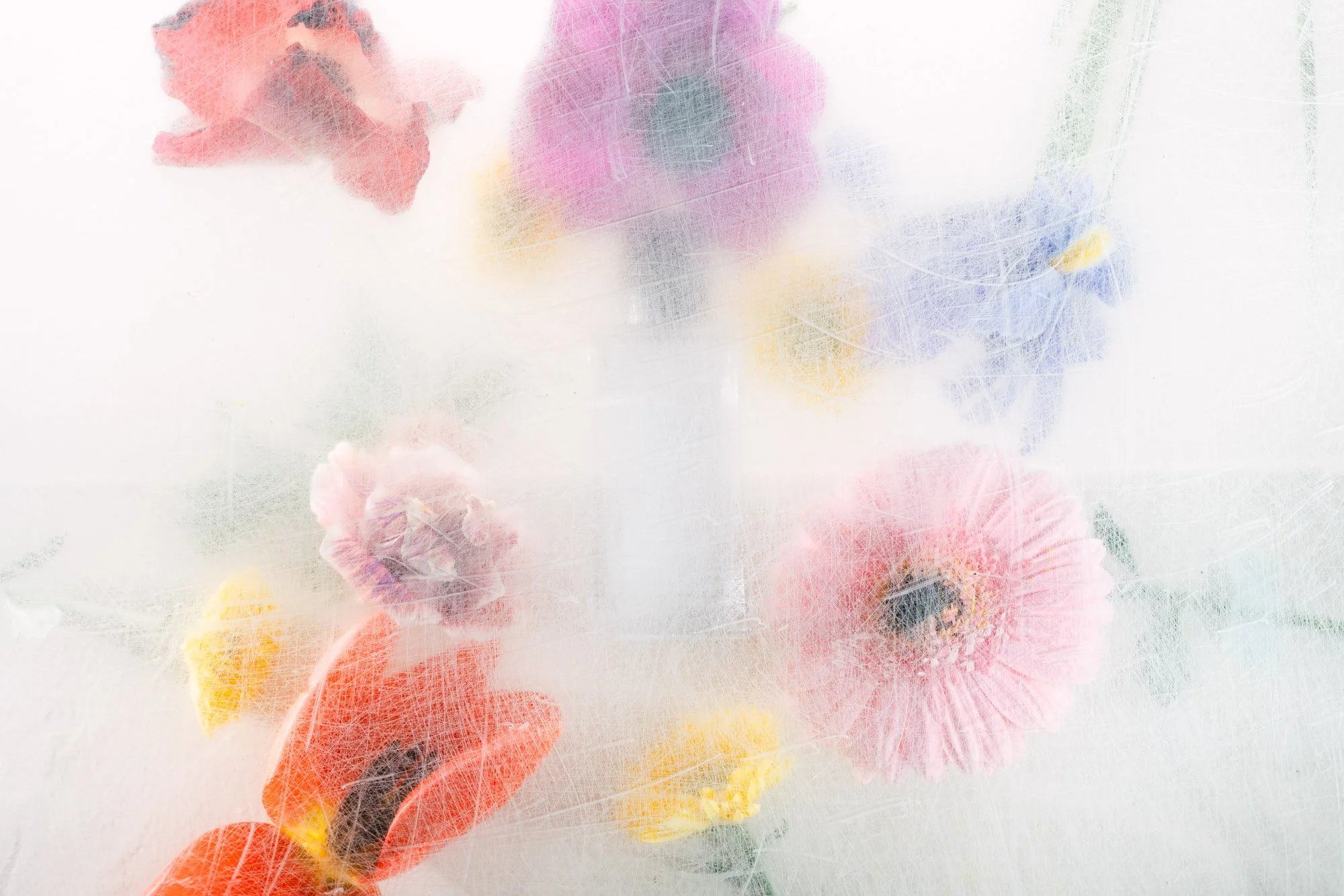 Flowers-5.jpg