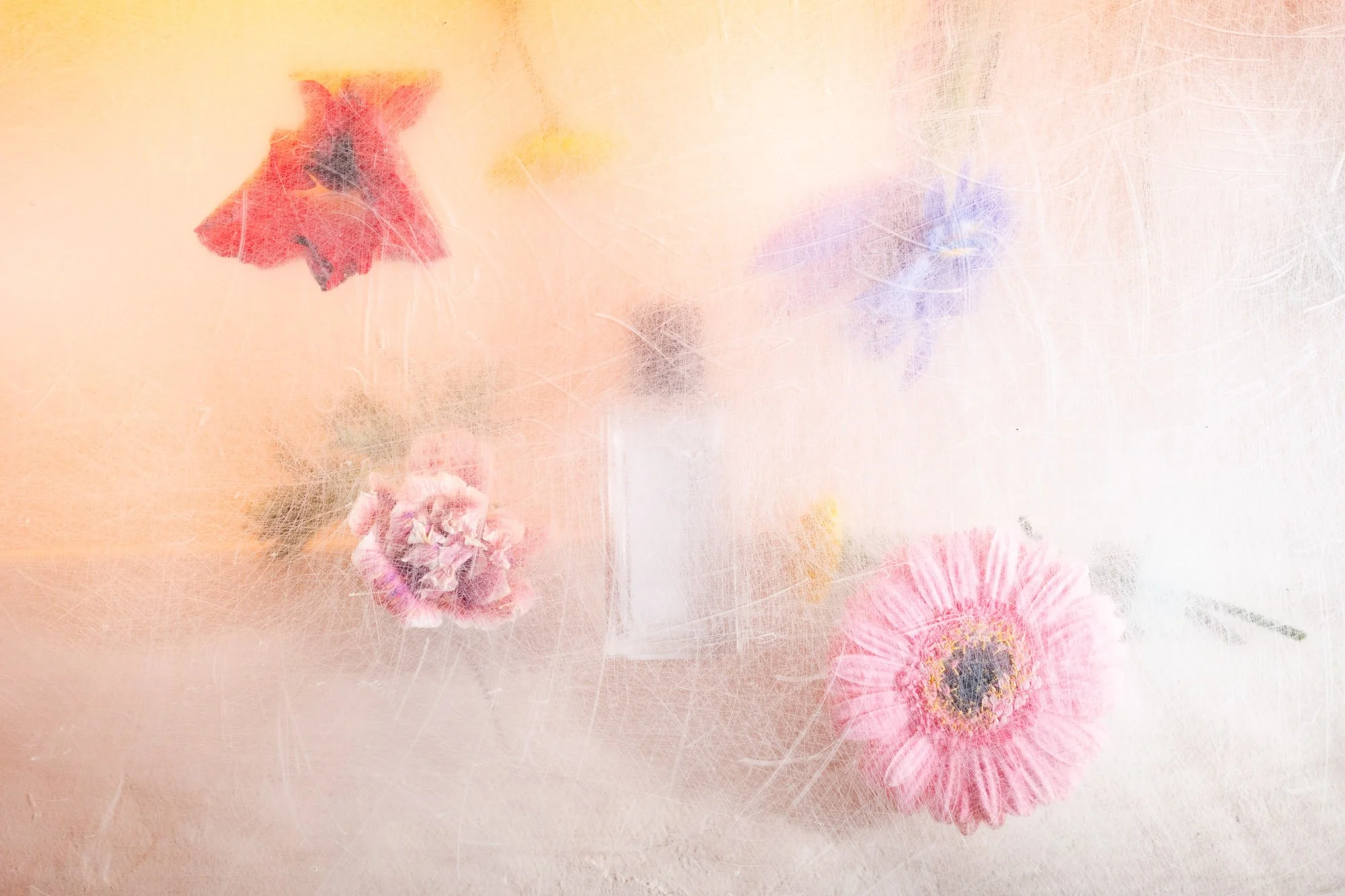 Flowers-2.jpg