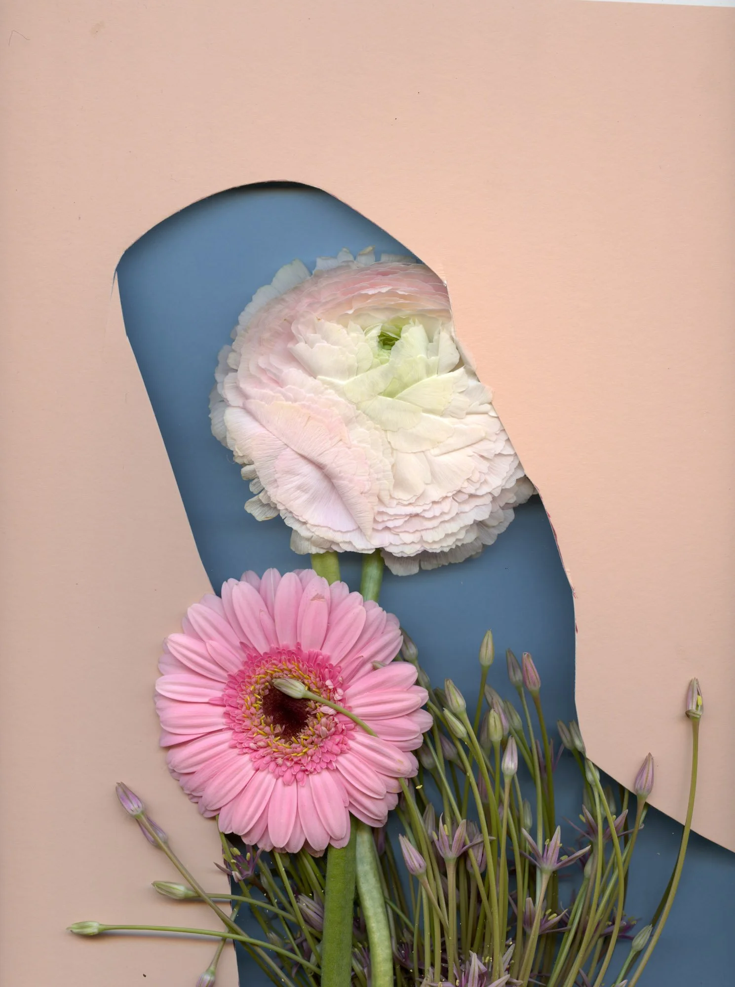 Flowers themed shoot for Jorum Studio