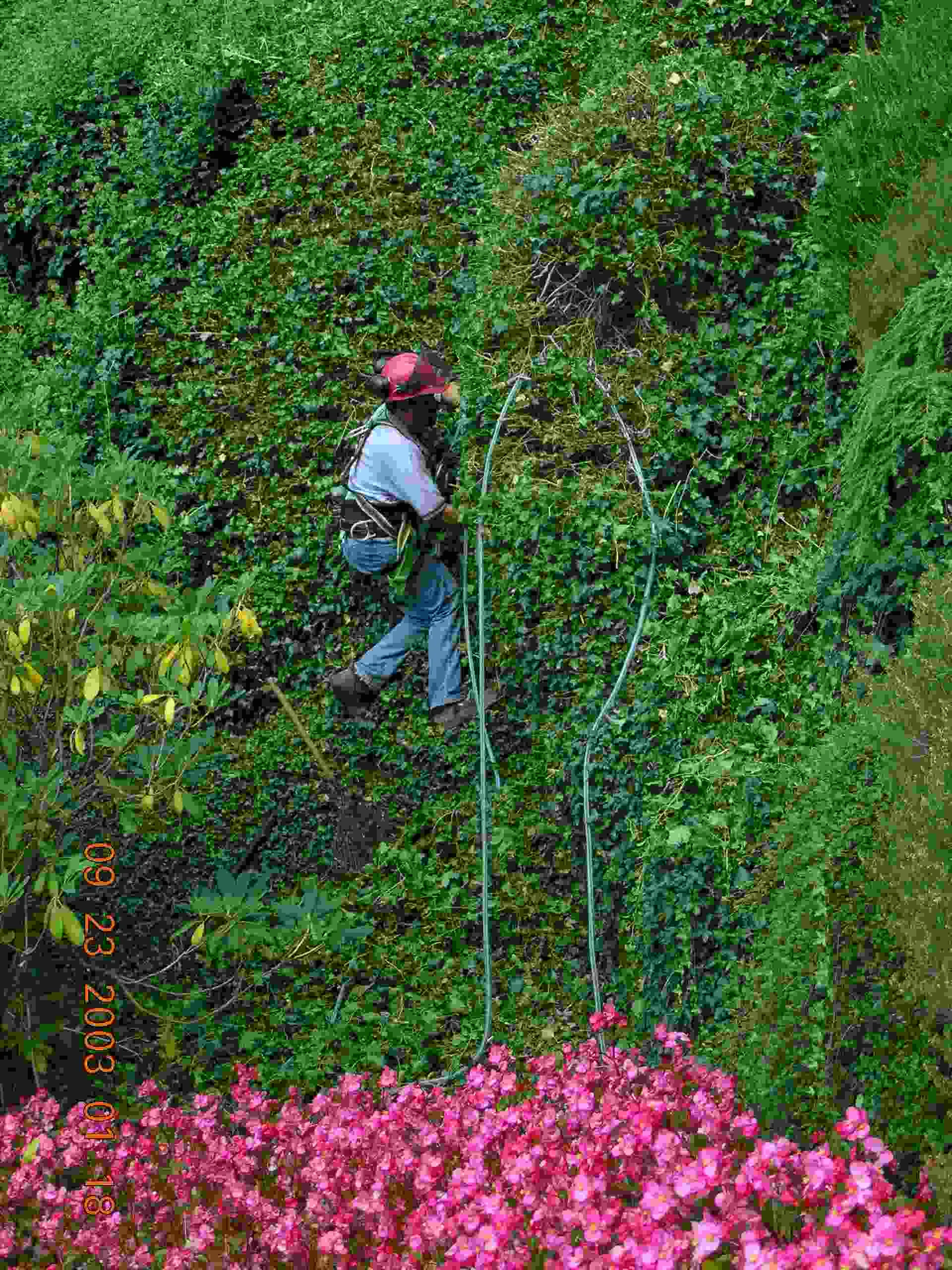 Buchart_Garden_before_the_2003_reunion.jpg