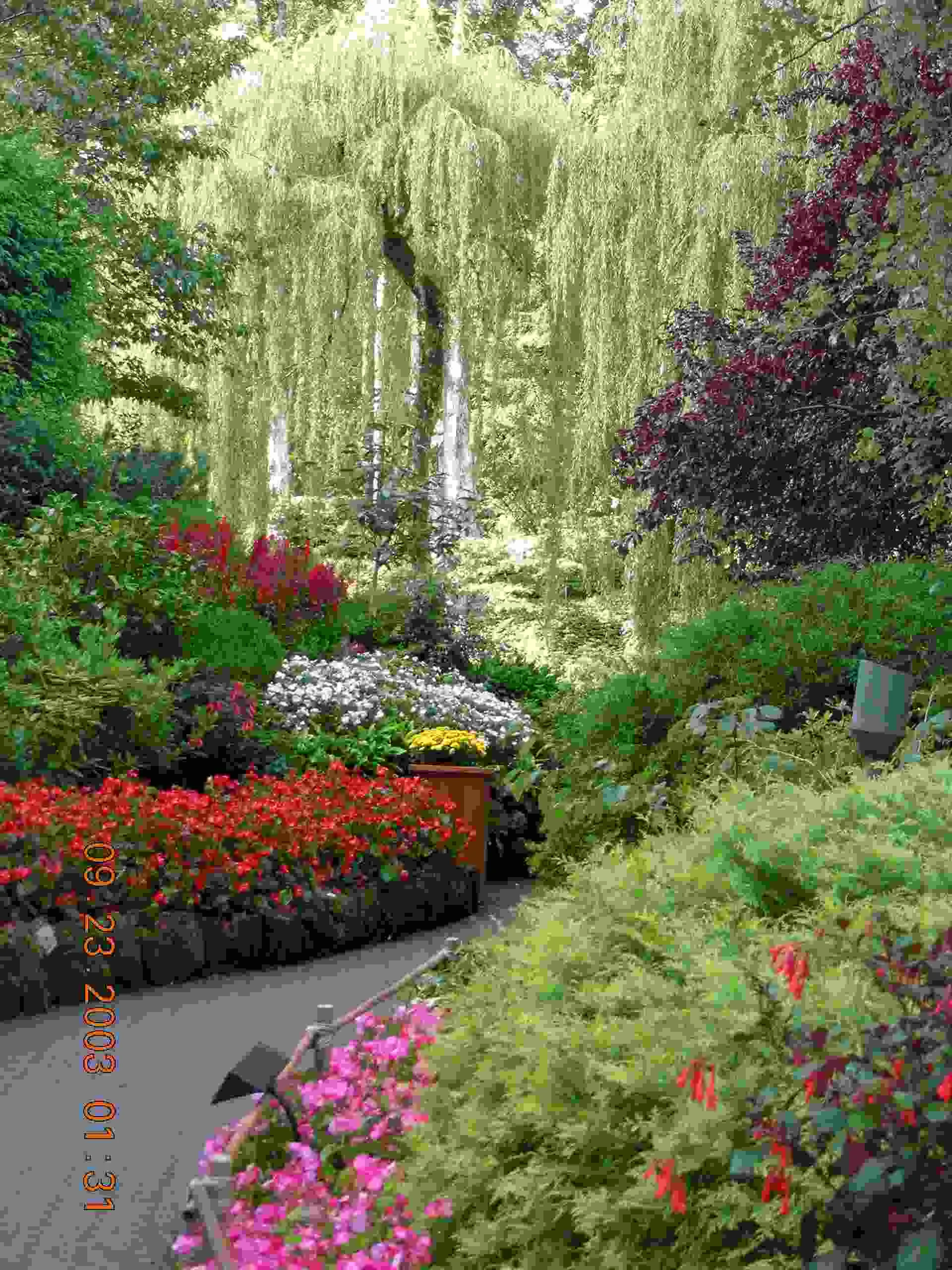Buchart_Garden_in_Victoria_before_the_2003_reunion.jpg