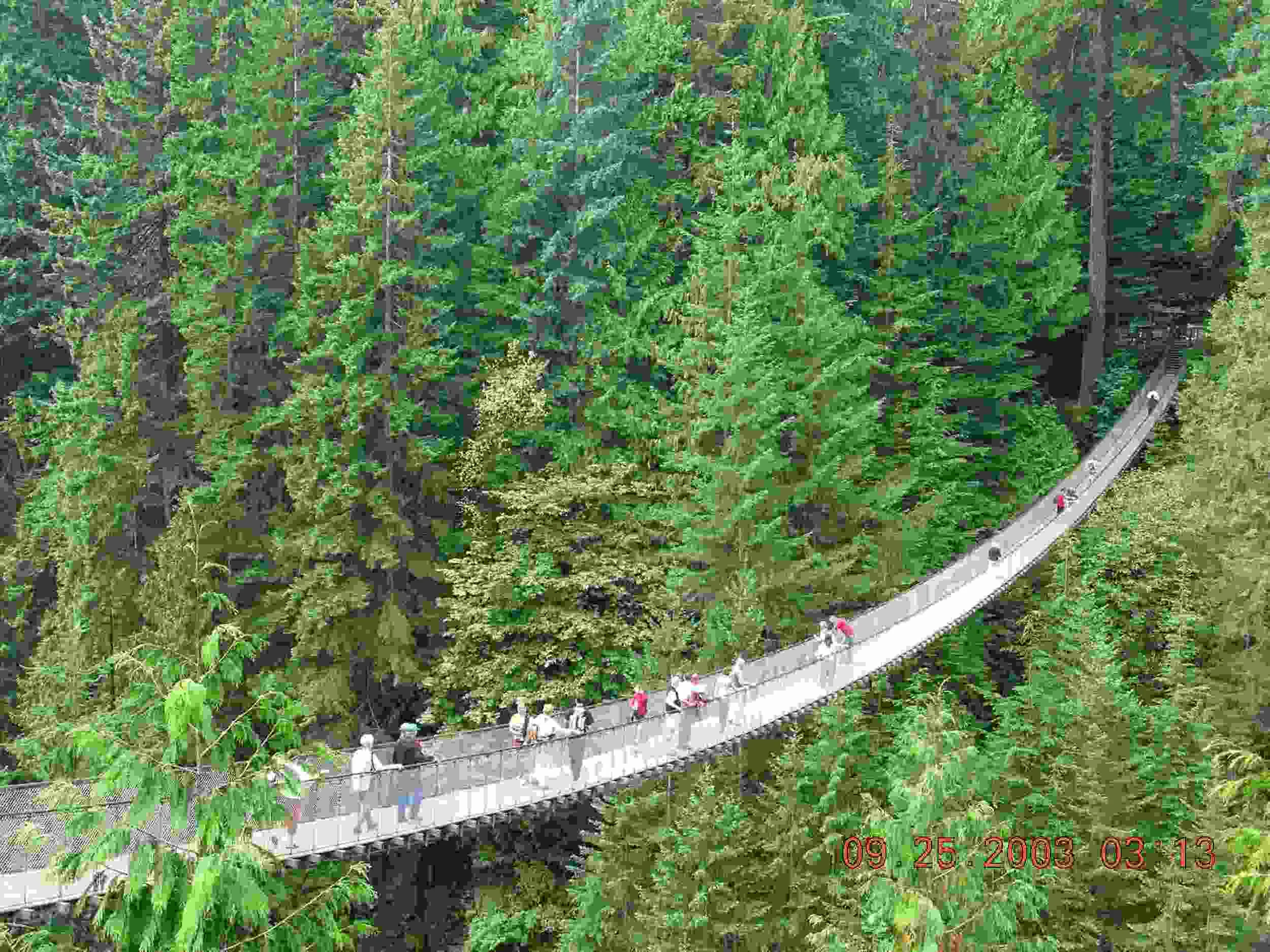 Capilano_Expansion_Bridge.jpg