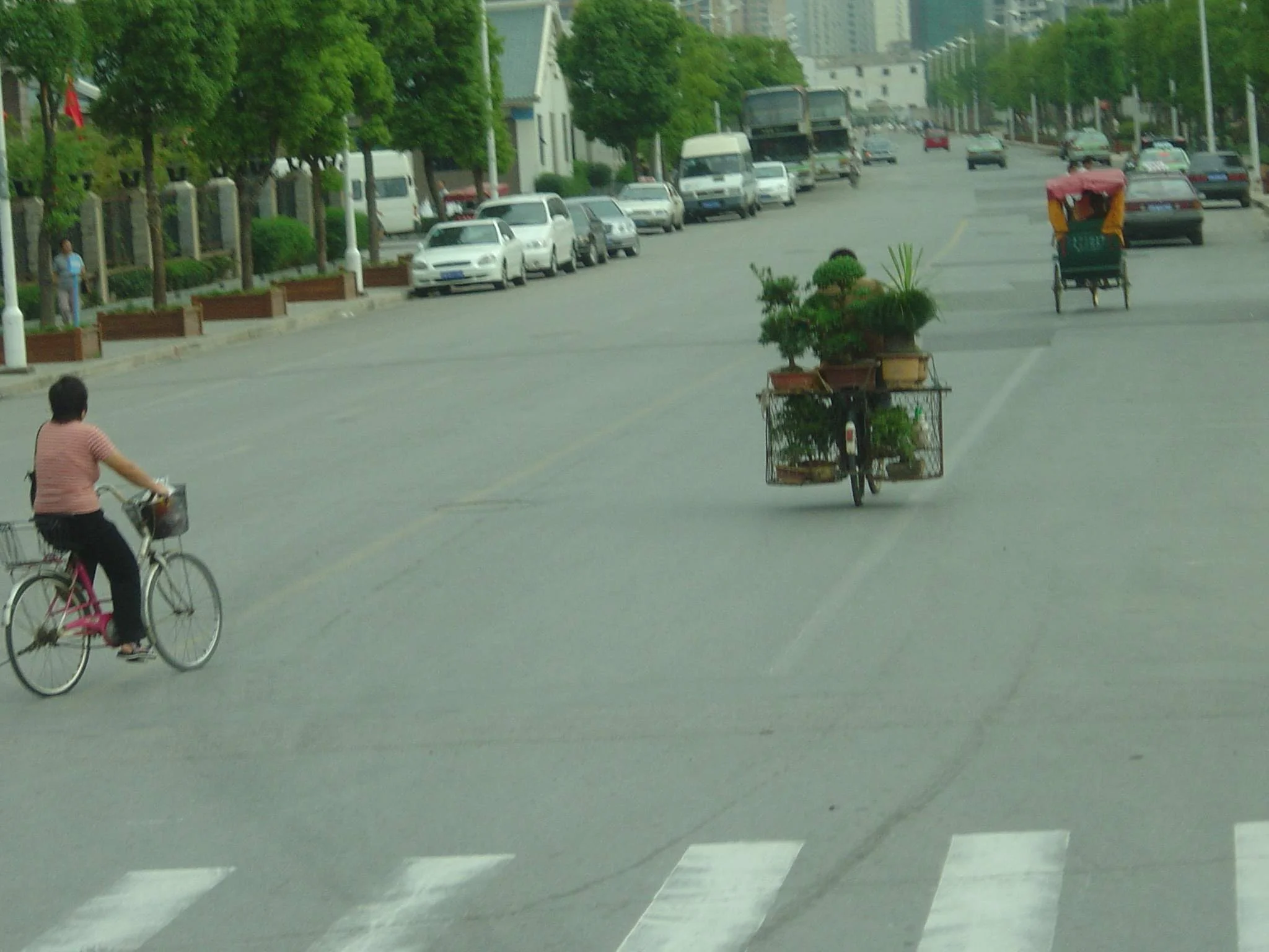 Flower_Delivery_2005.jpg