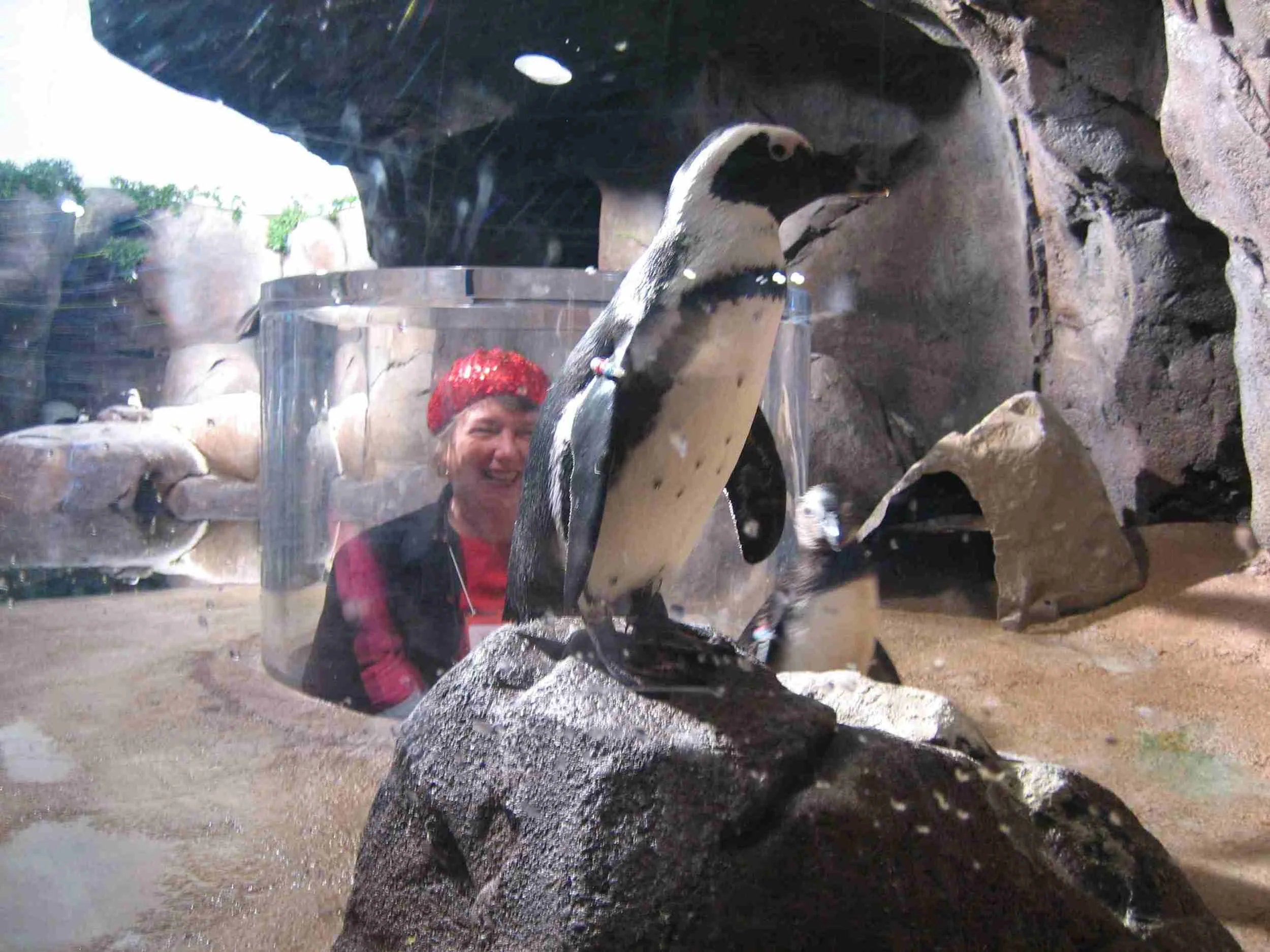 You_never_know_what__youll_see_at_the_Atlanta_aquarium.jpg