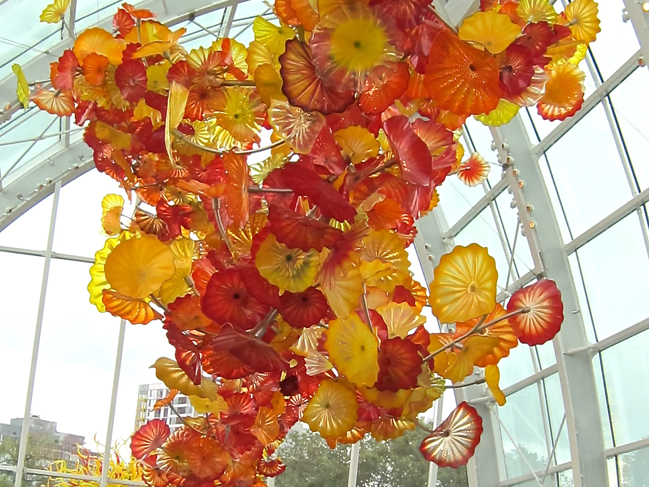 Beautiful Chihuly flowers