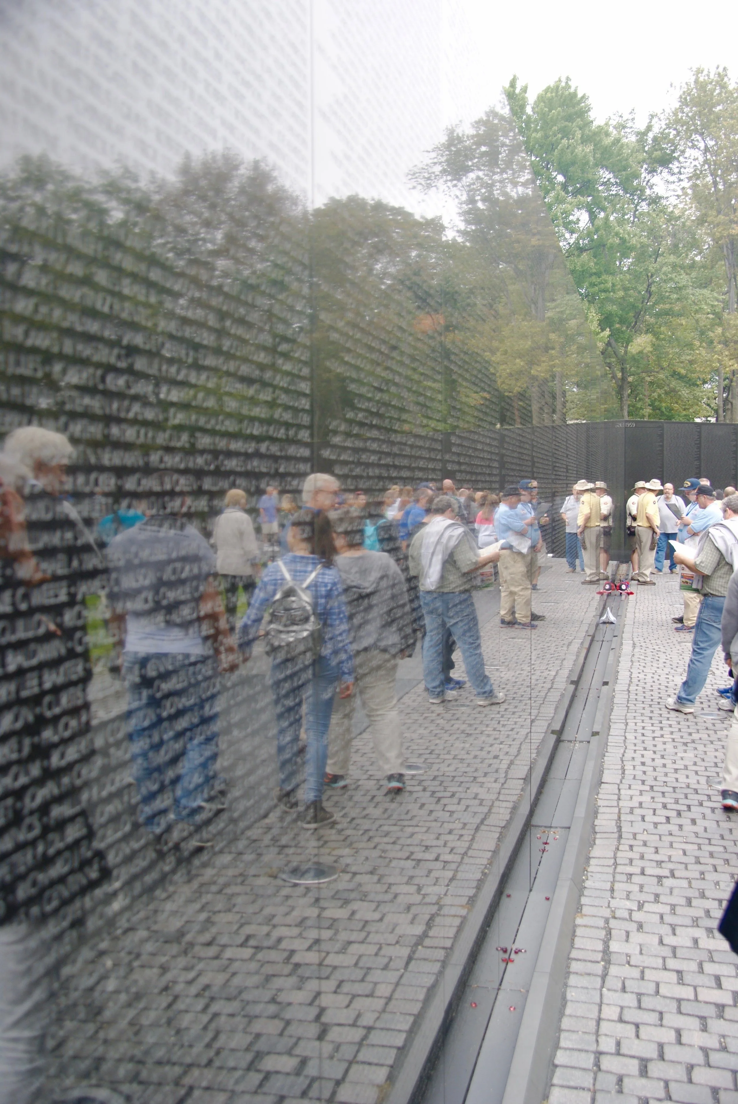DSC08455.jpg