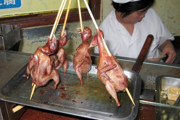 Chicken on stickLR.jpg