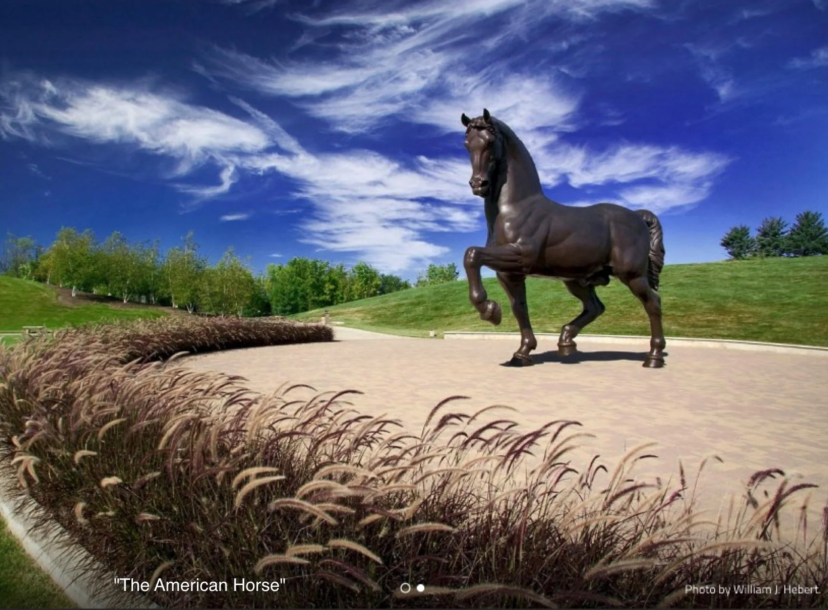 AmericanHorse2.jpg