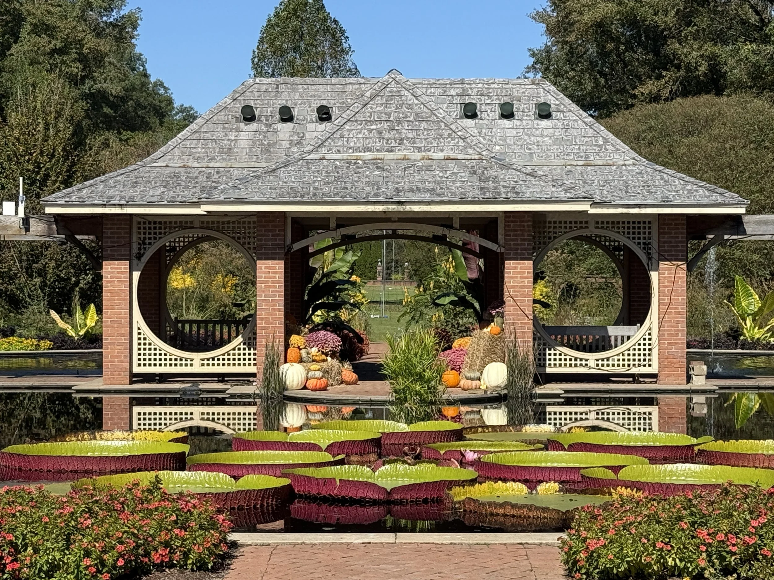 Huntsville 10 16 at Botanical Gardens by Margo Wikman 3.JPG.jpeg