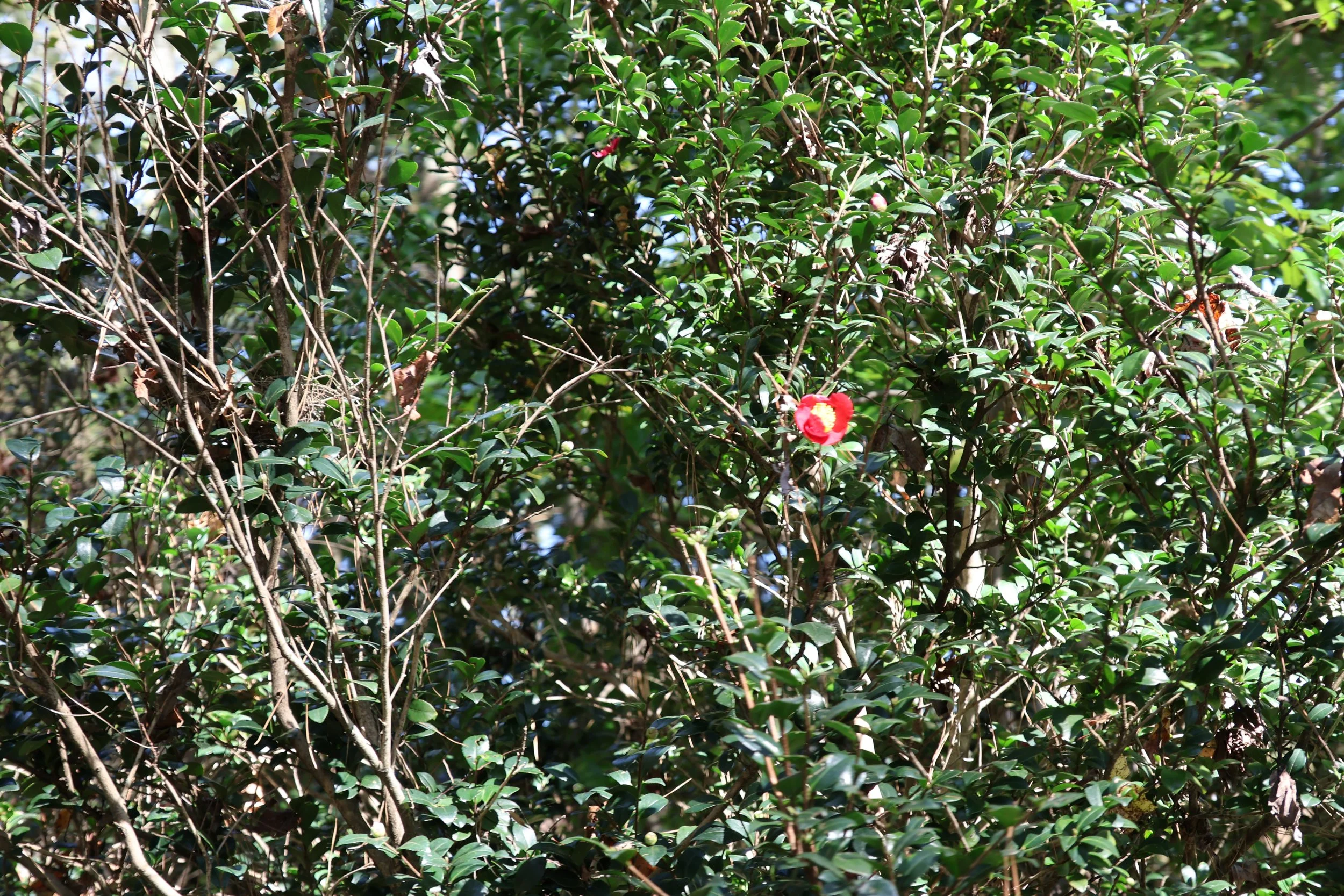 IMG_0158.JPG