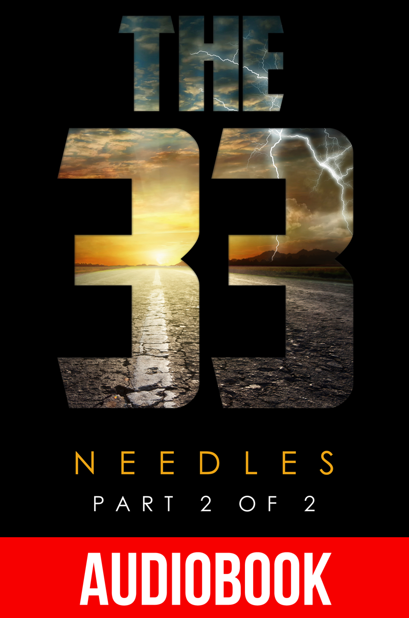 6: Needles (Part 2 of 2) [AUDIOBOOK]