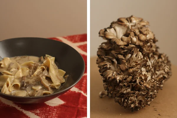maitake.jpg