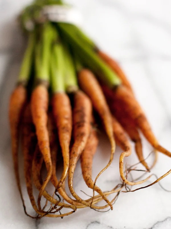PCarrots-1.jpg
