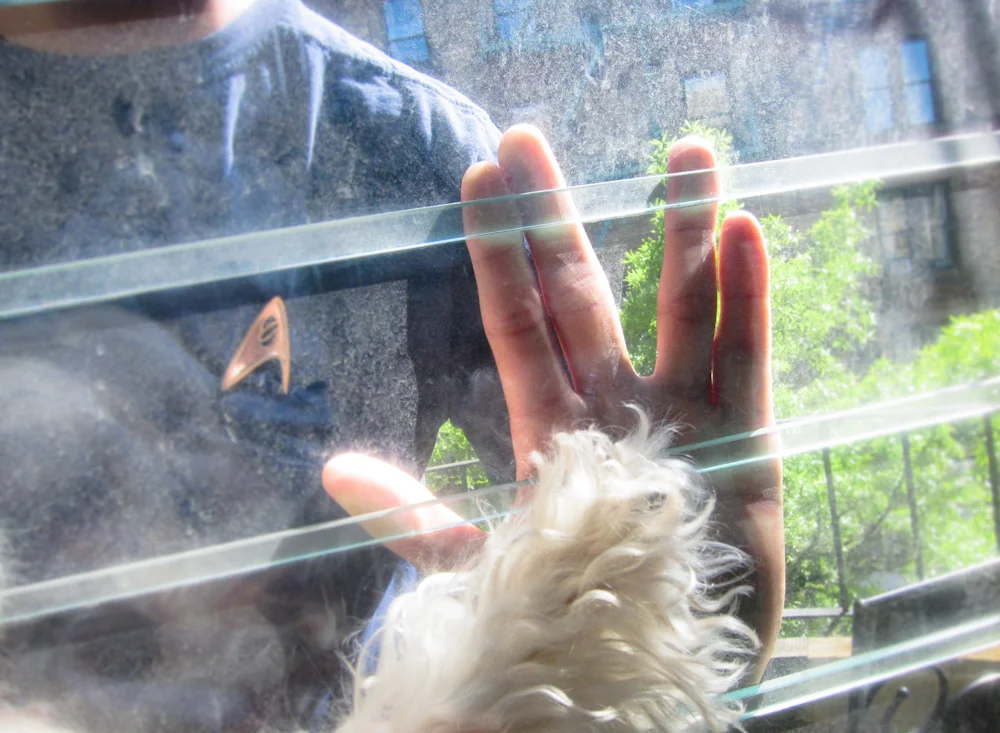 star-trek-vulcan-salute-dog-always-shall-be-friend.jpg