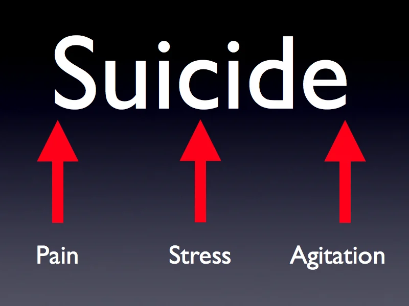 People become at risk for killing themselves when pain, stress, and agitation are all at their maximum.