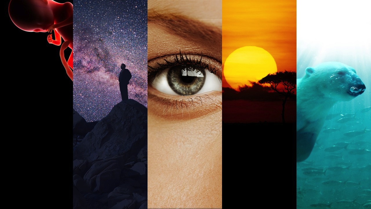 COSMOS: A Spacetime Odyssey is presented by FOX Sundays 9/8c and National Geographic Mondays 10/9c