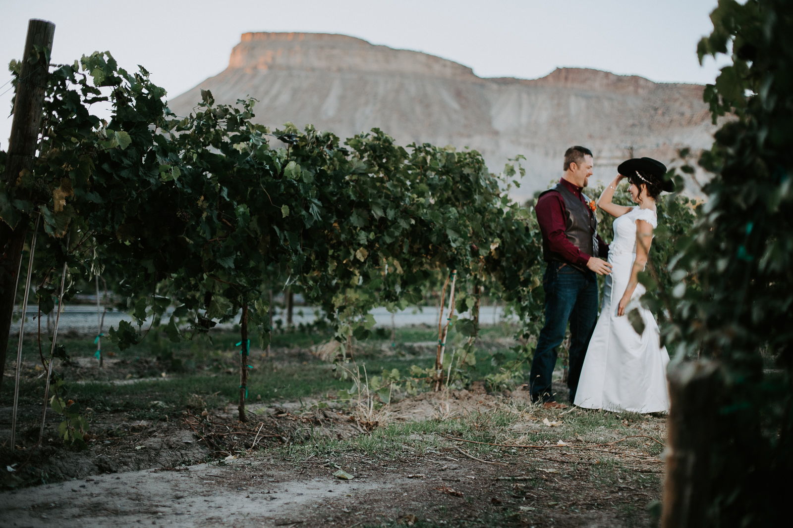 Vineyard winery wedding bride groom Palisade Colorado