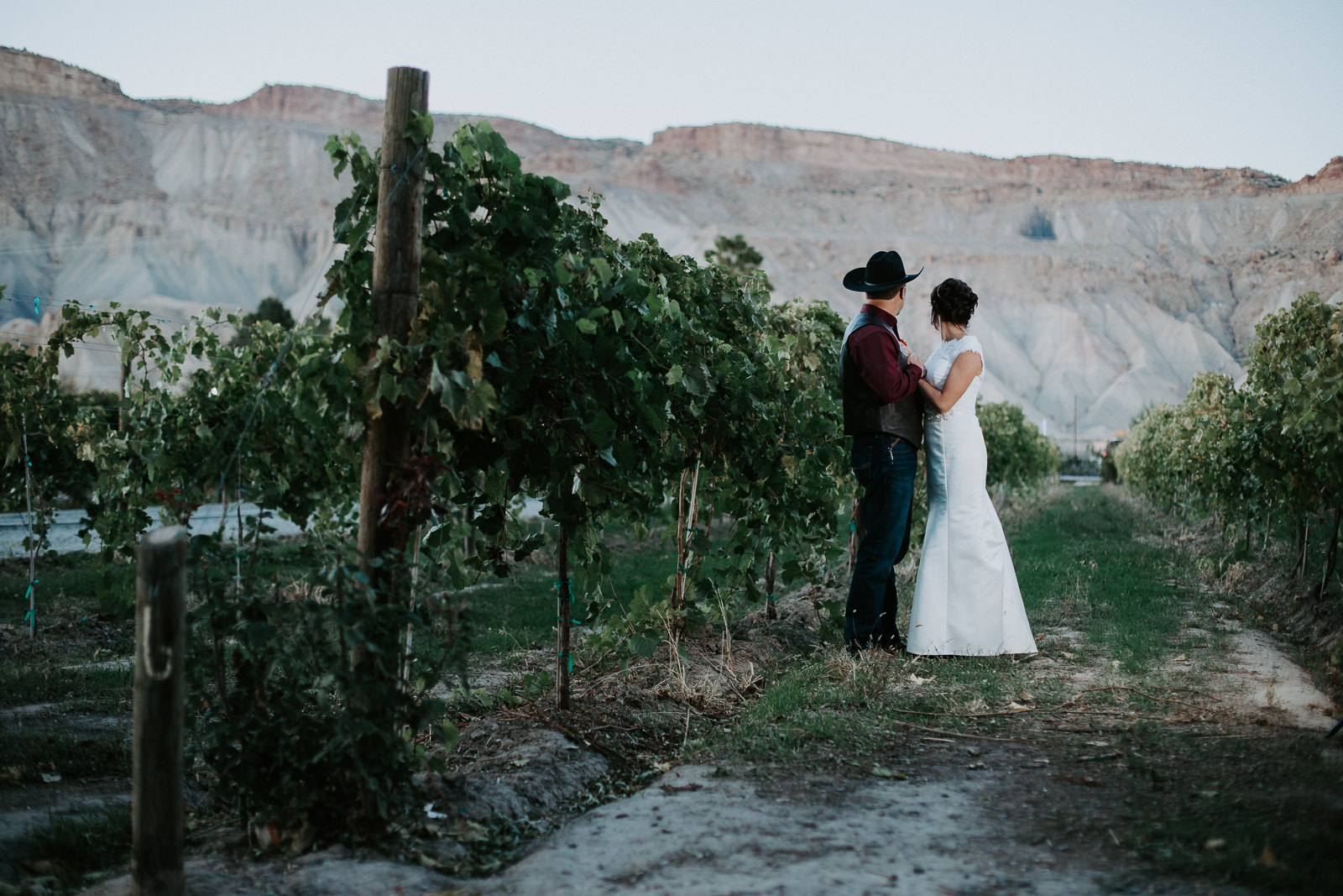 bride groom portrait wedding Palisade Colorado mount garfield bookcliffs
