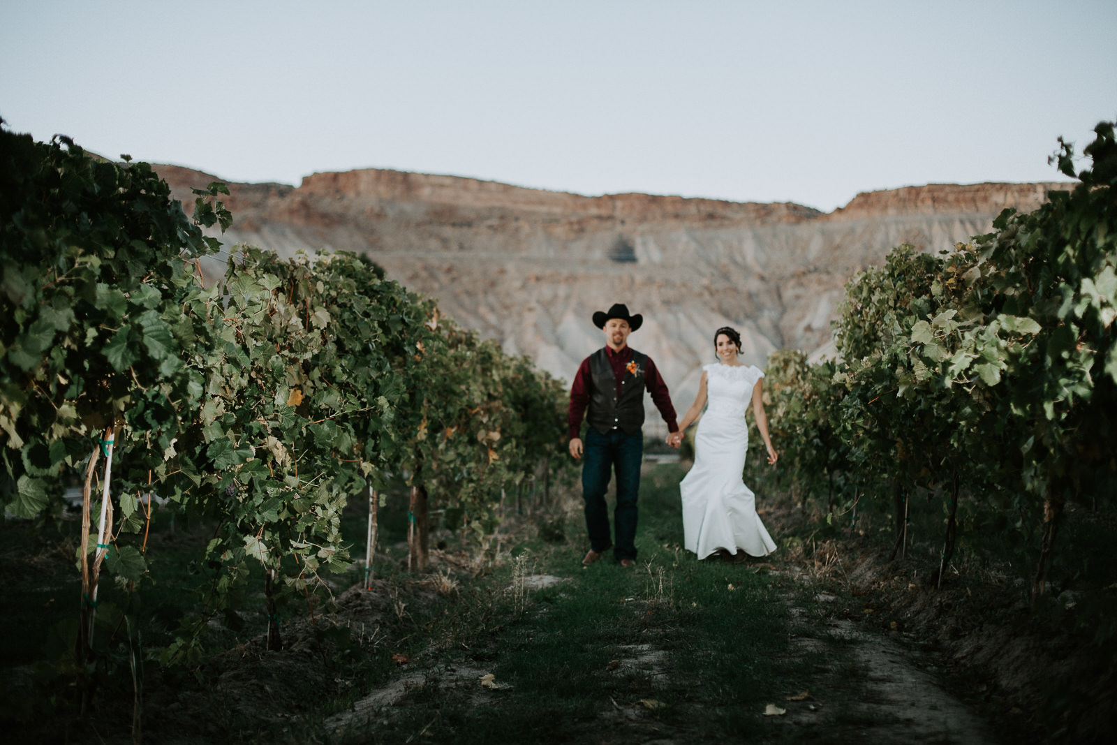bride groom portrait wedding Palisade Colorado Mount Garfield bookcliffs vineyard