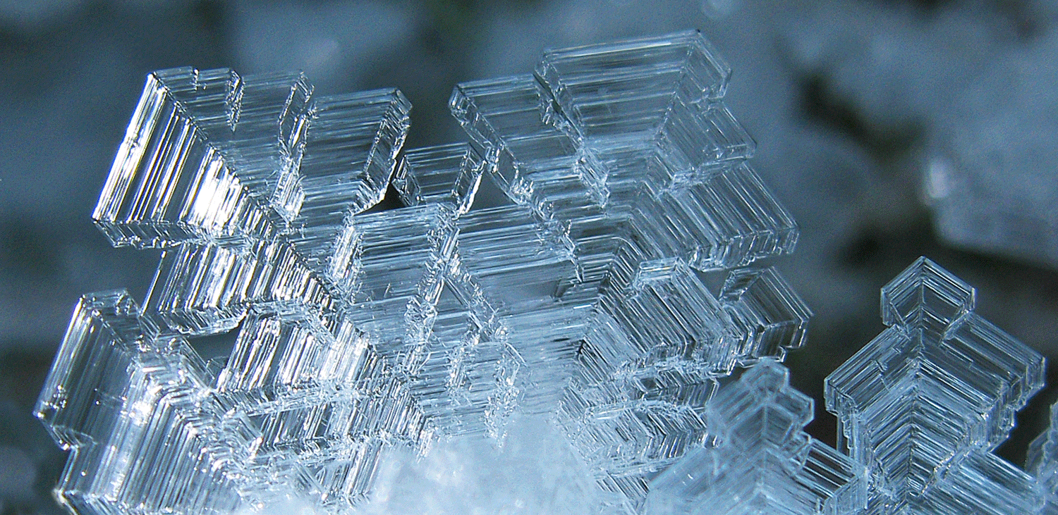 Beautiful frost crystal