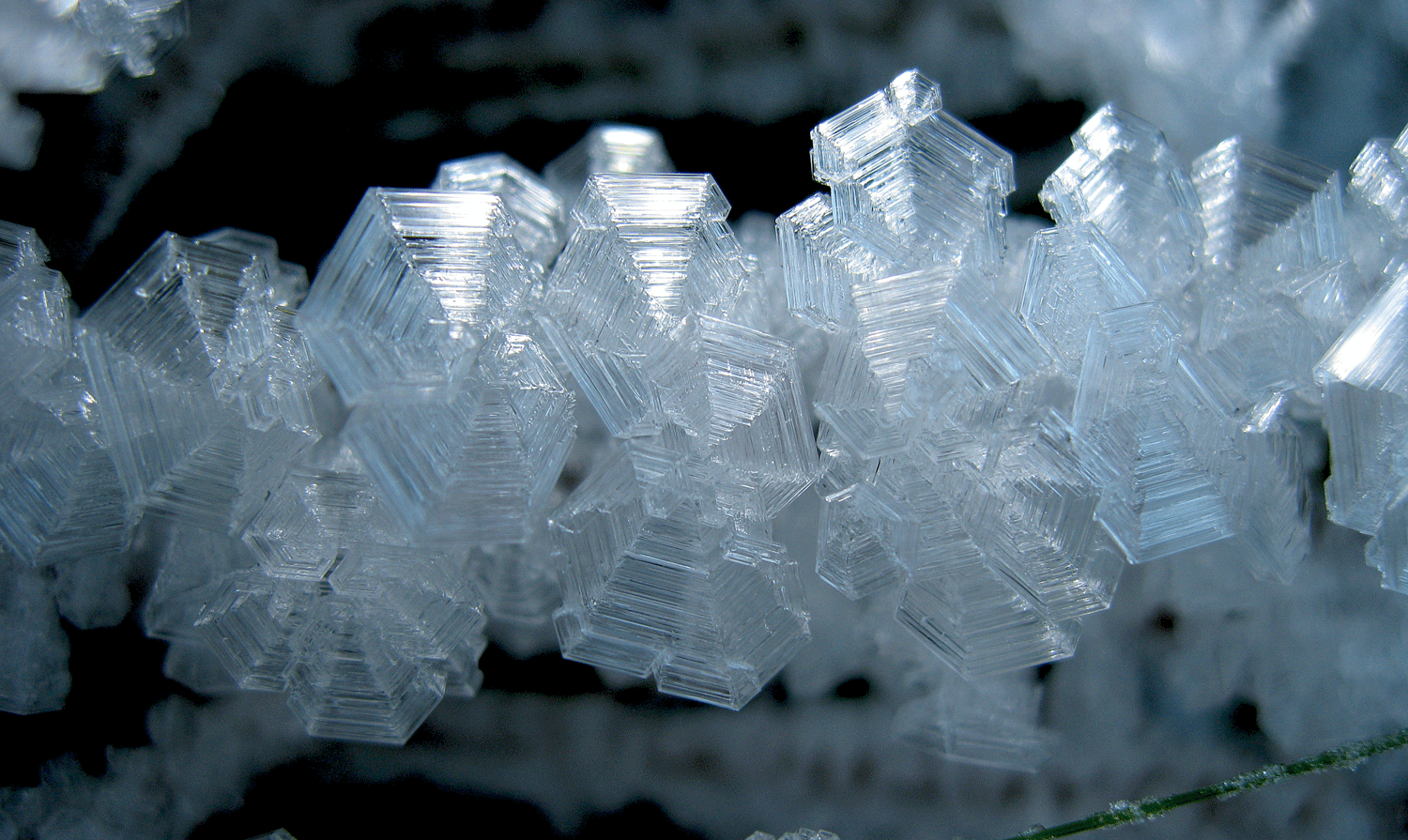 One blade of grass turned into a strand of diamonds.