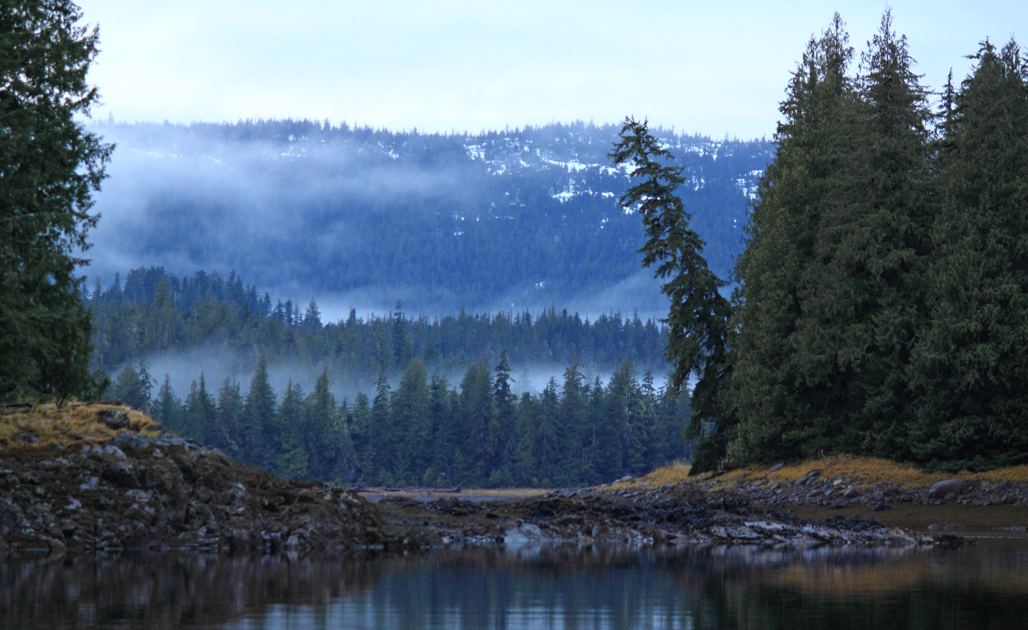 Islands trees beach Southeast Alaska