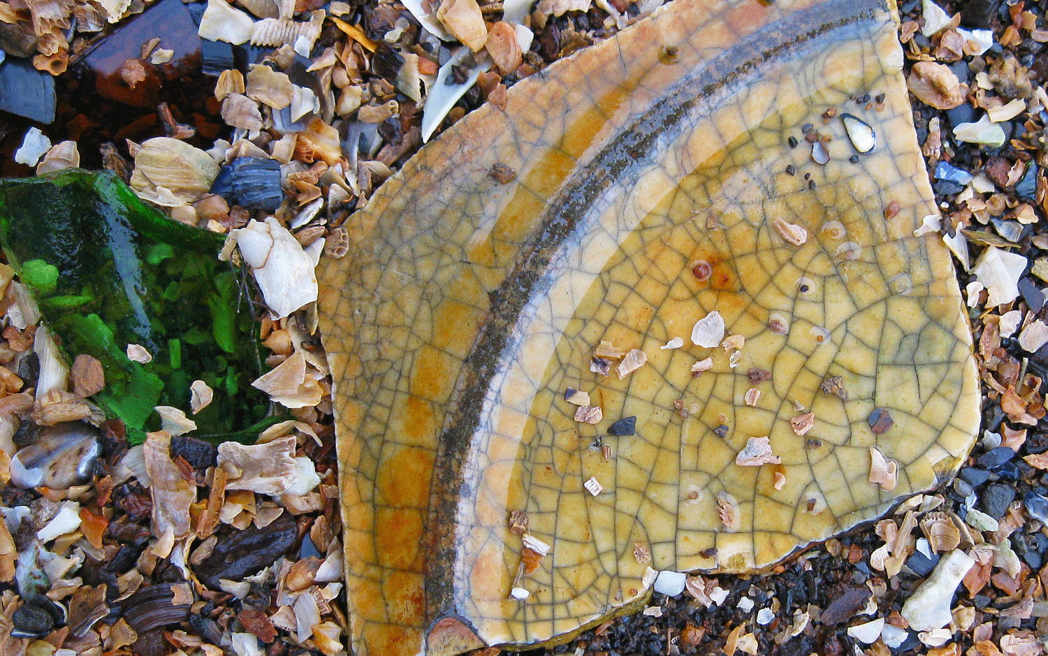Crazed ceramic shard.