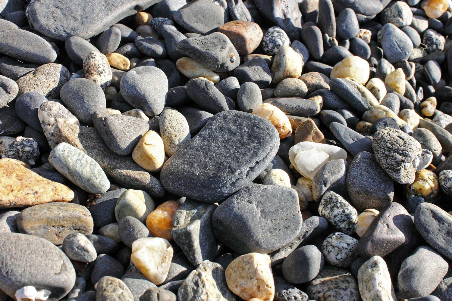 There's one! A perfect skipping stone!