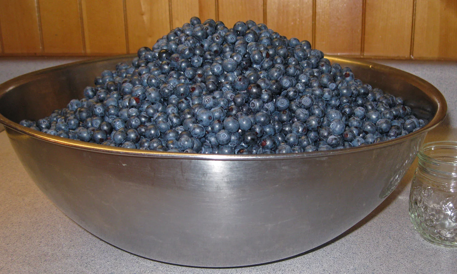 Blueberries bowl Alaskan blueberries