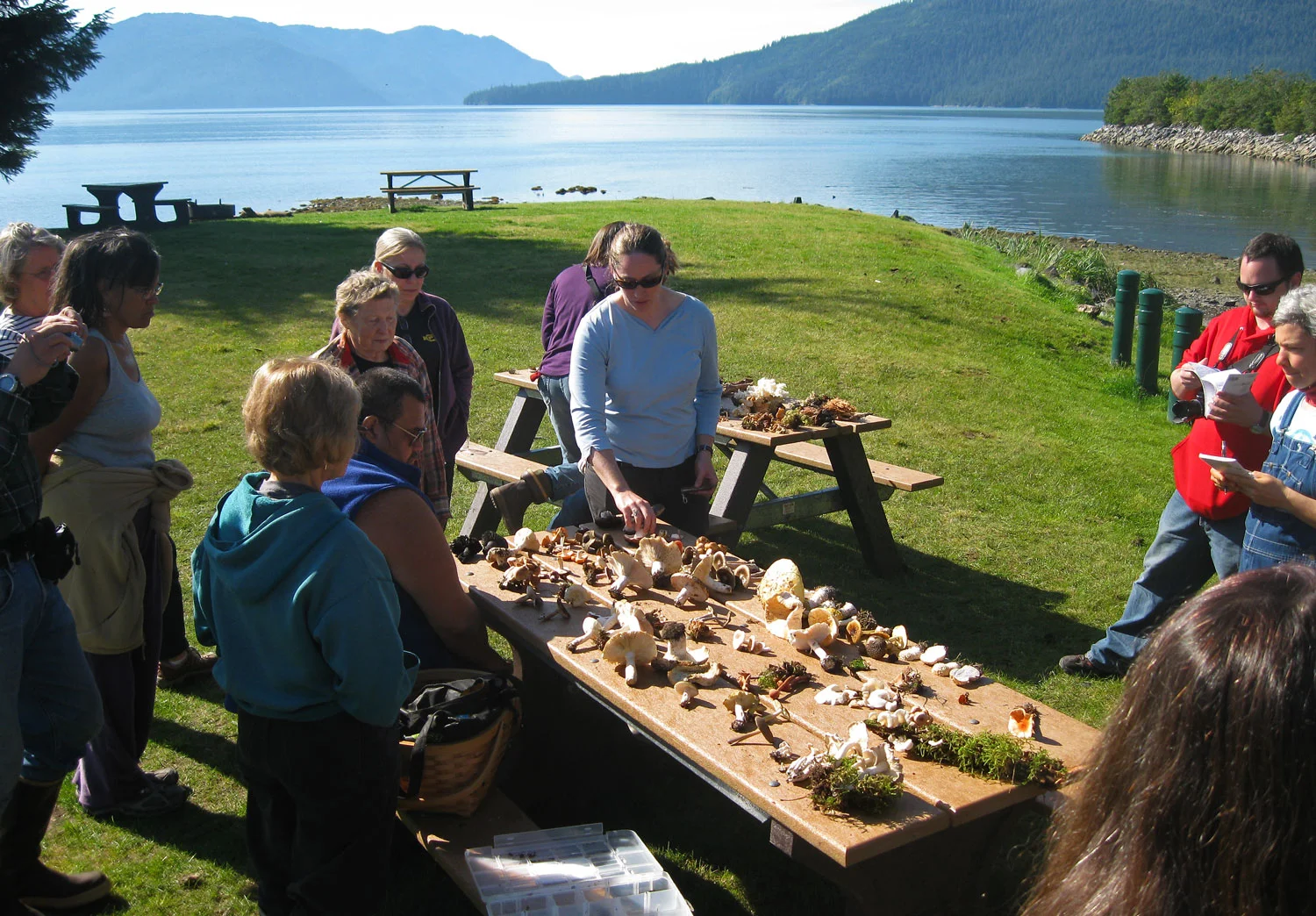 Kate Mohatt, mycologist and Chugach National Forest ecologist, looking over a table of mushrooms with workshop participants. 